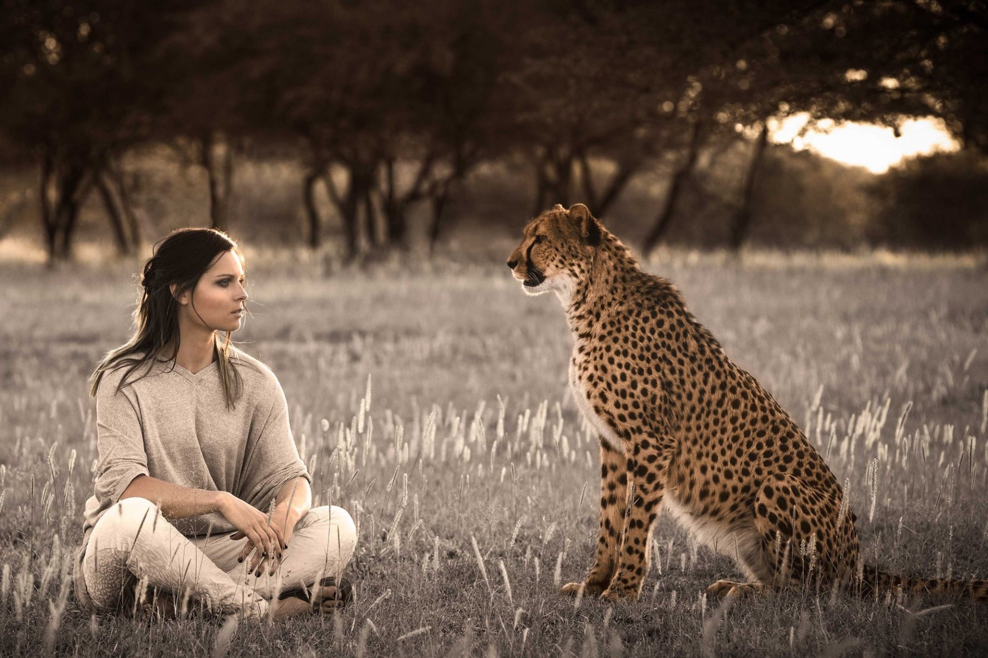 fenninger dziewczyna gepard spojrzenie