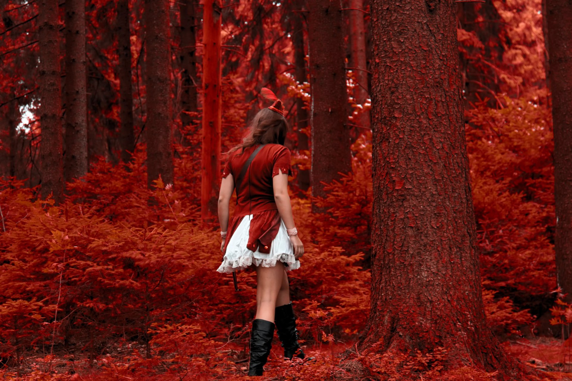 bosque rojo chica en rojo rojo caperucita