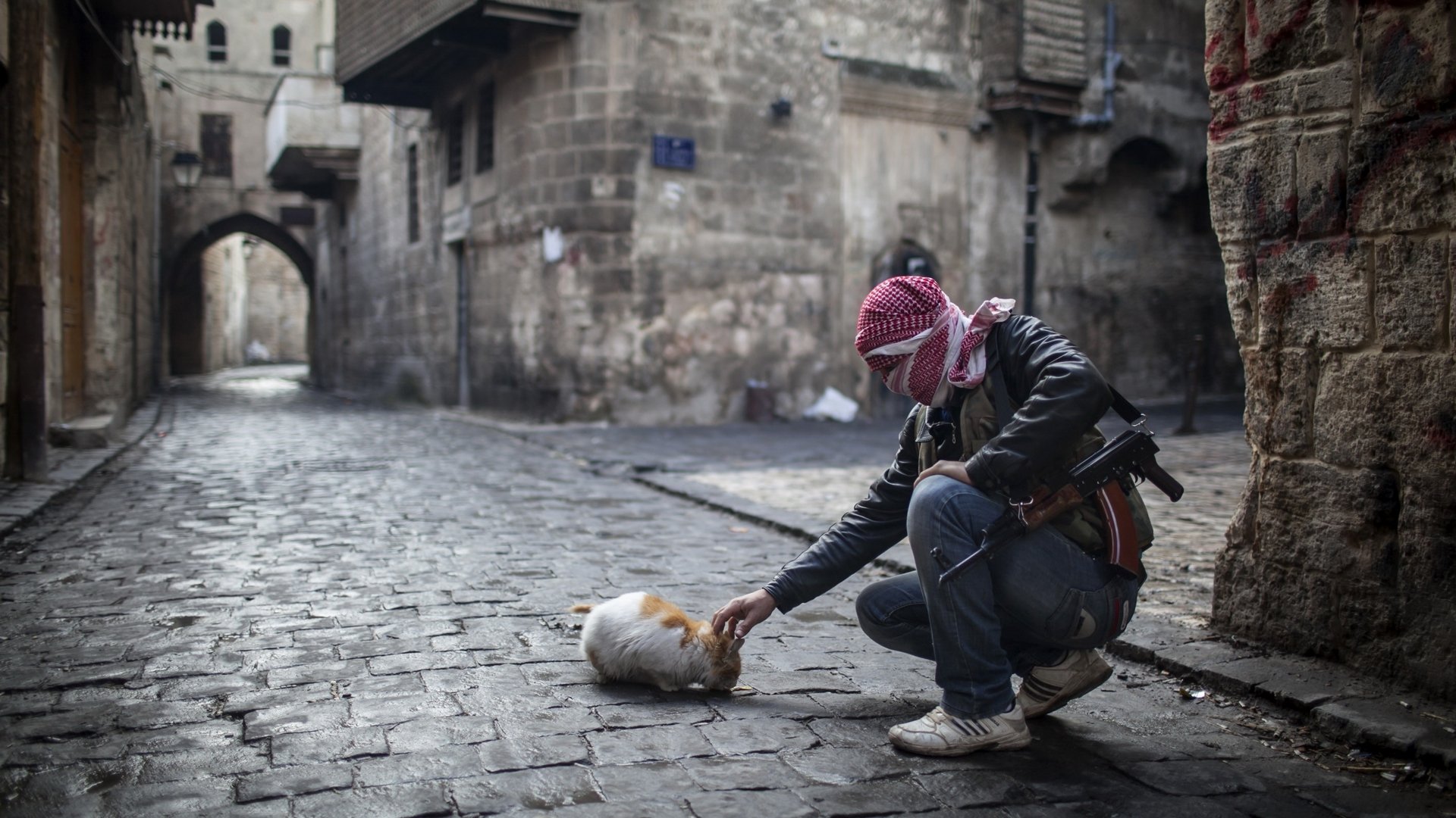 un gars une arme un chat de la nourriture de la rue à la maison