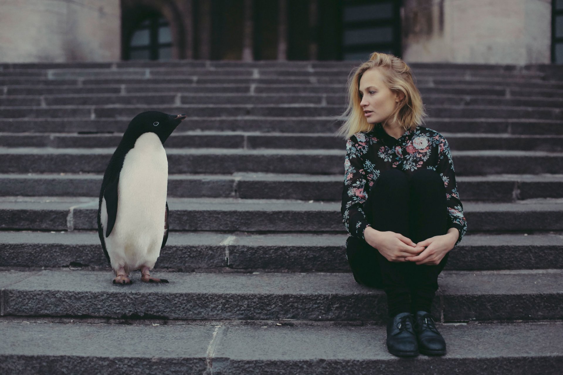 girl penguin stair