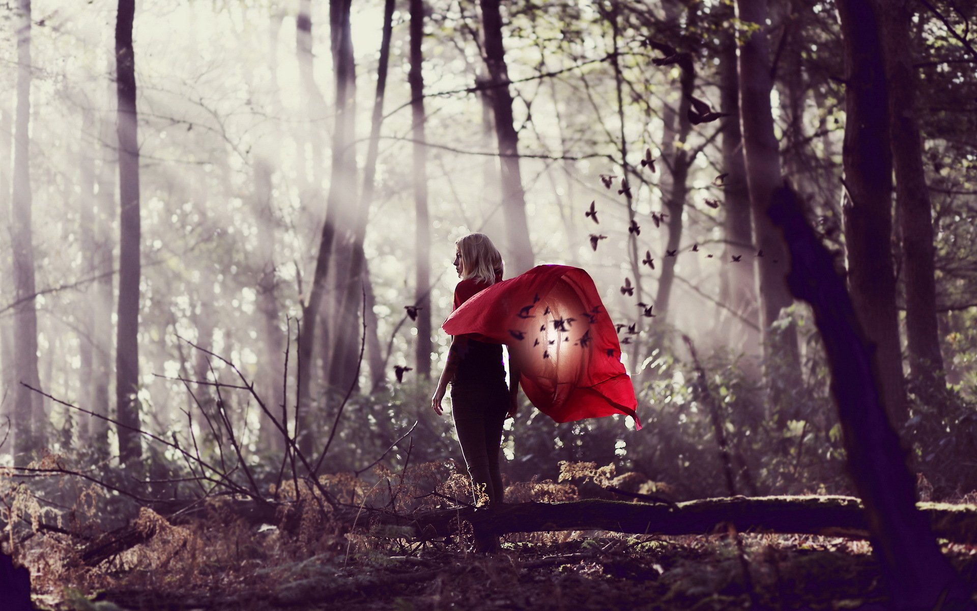 girl forest background