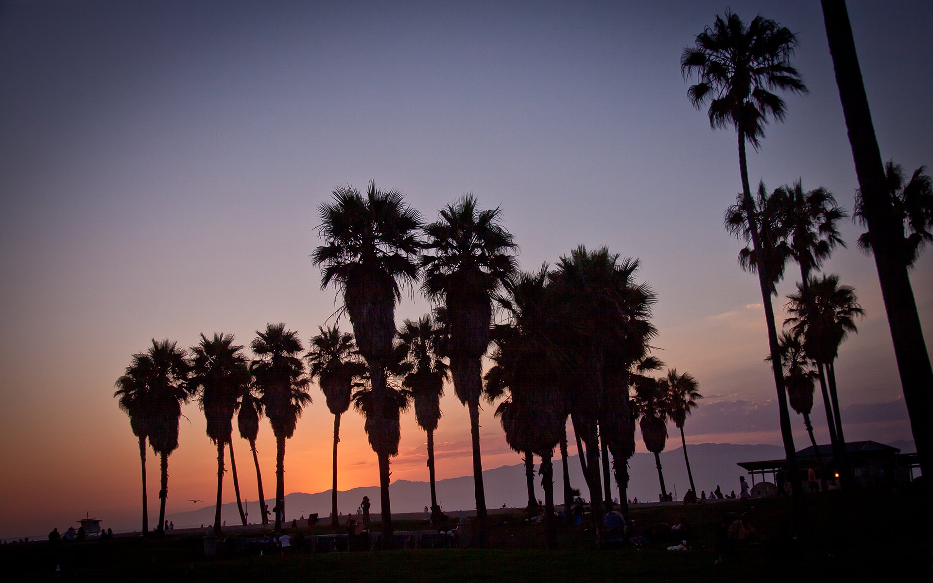 coucher de soleil en été vennice la plage la los angeles californie états-unis palm