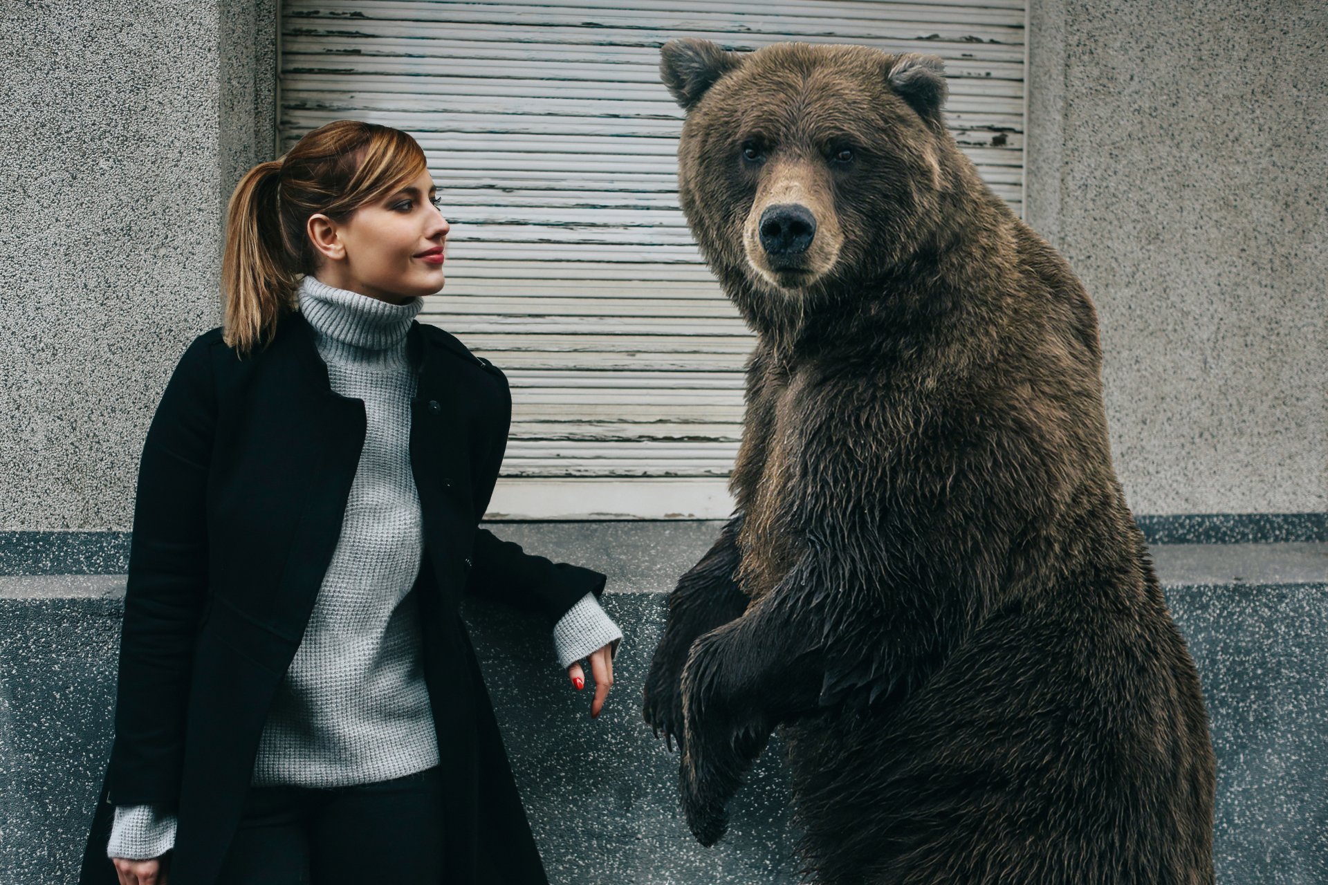 l ours fille des amis des connaissances