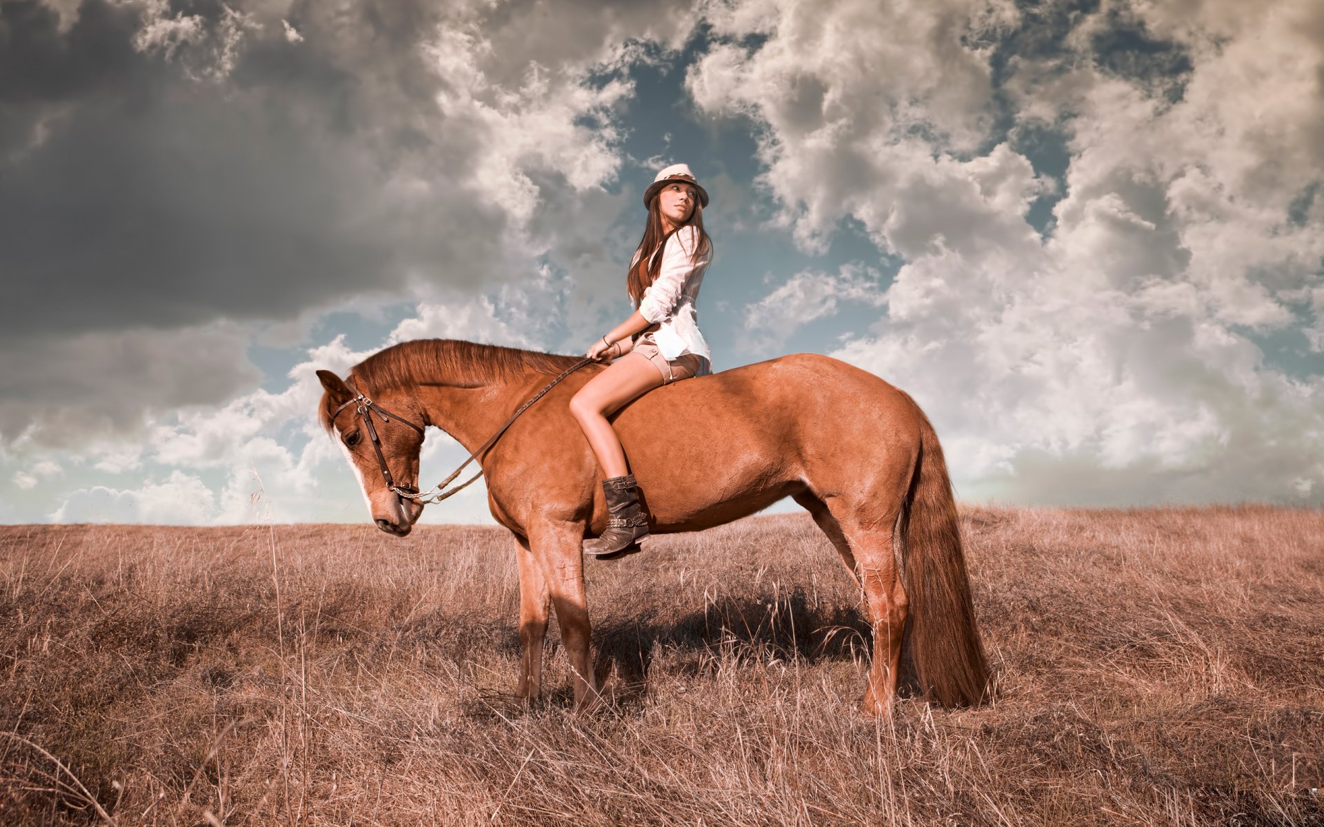 la jeune fille à cheval une cavalière