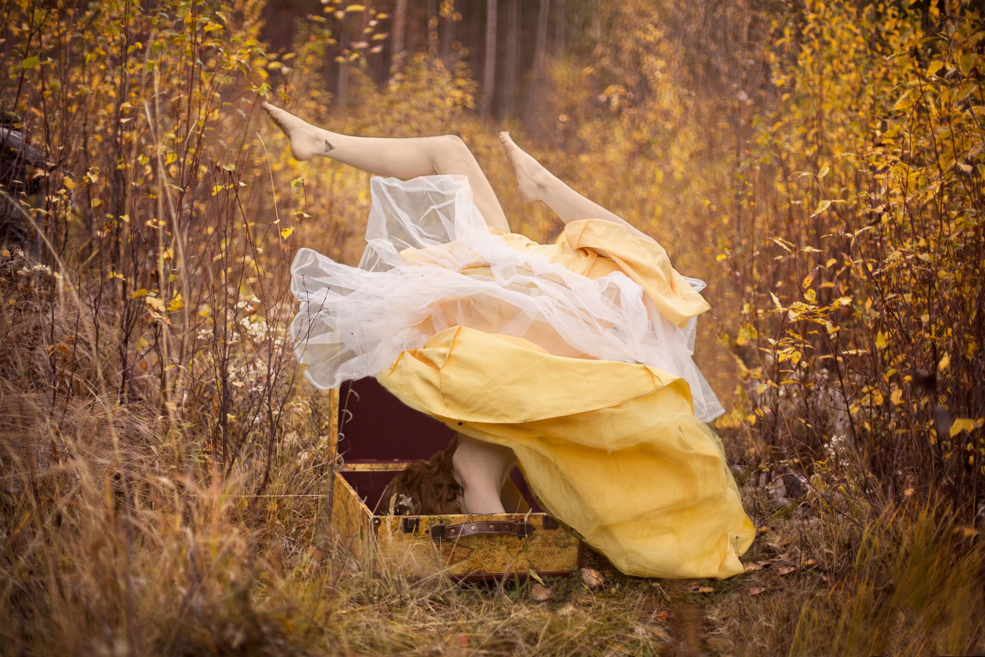 koffer mädchen kleid beine hoch wald herbst