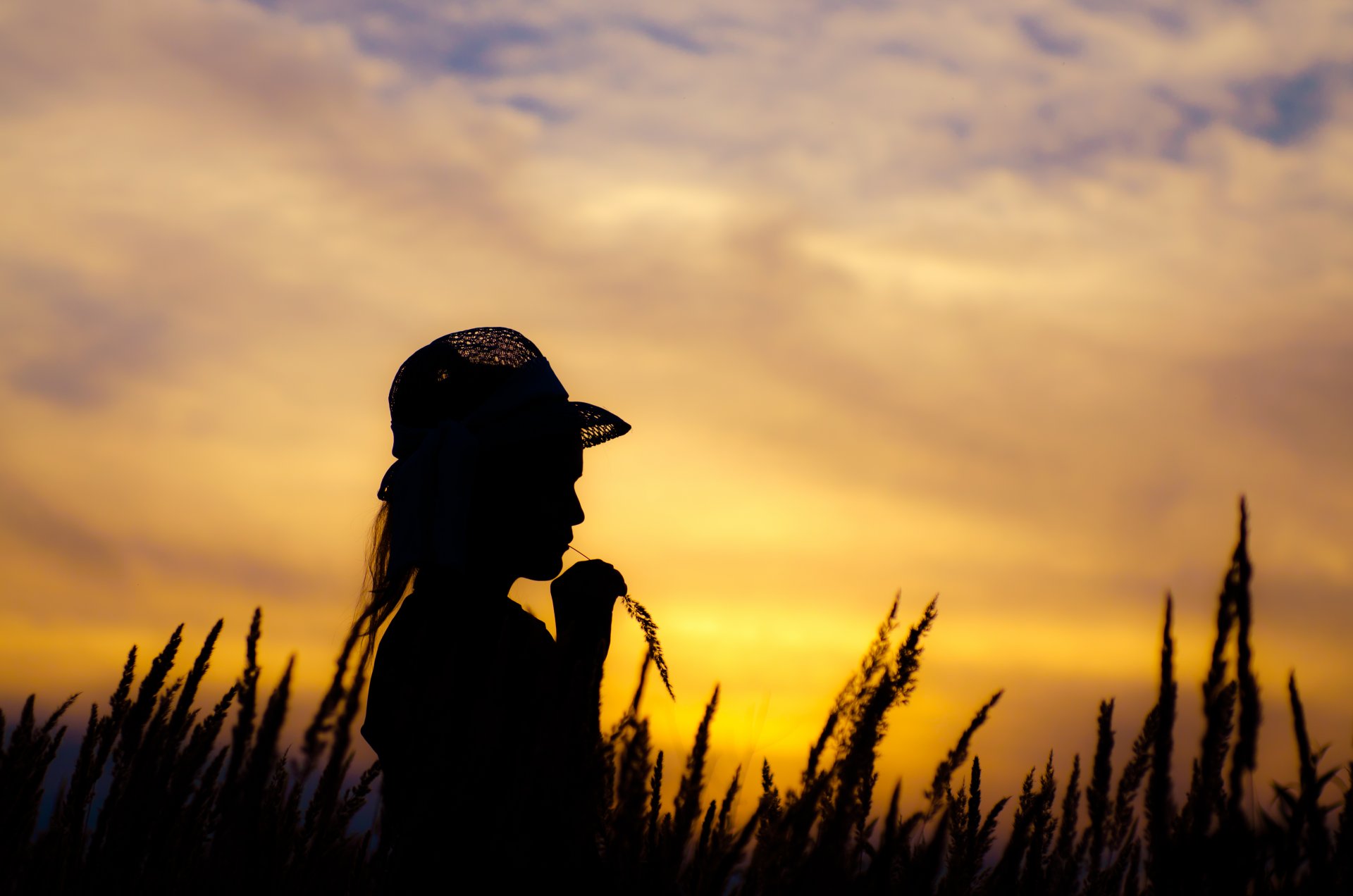 soir coucher de soleil champ ciel fille chapeau