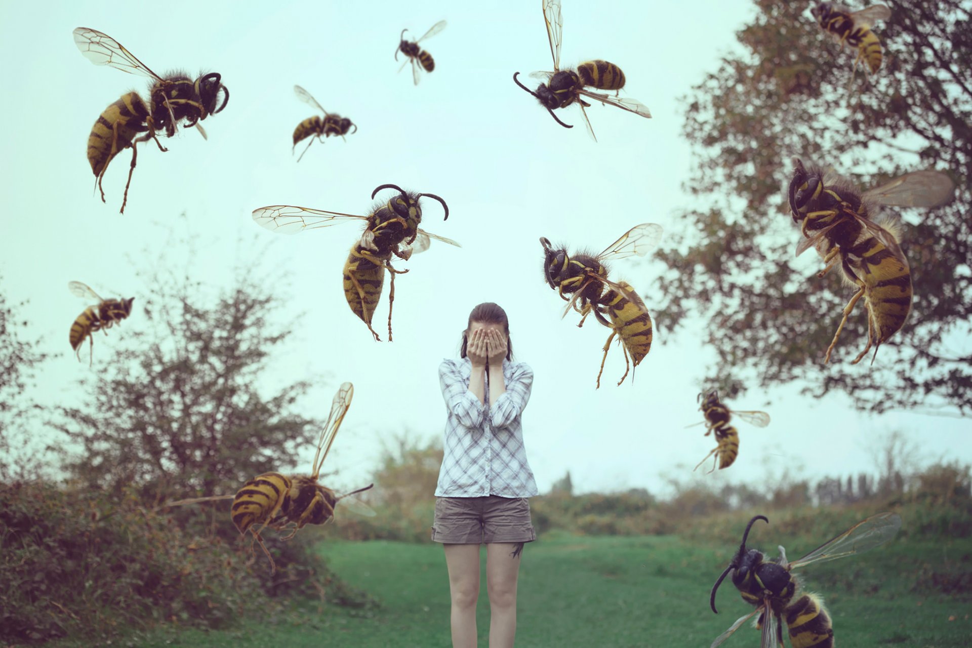 insectos niña sueño avispas