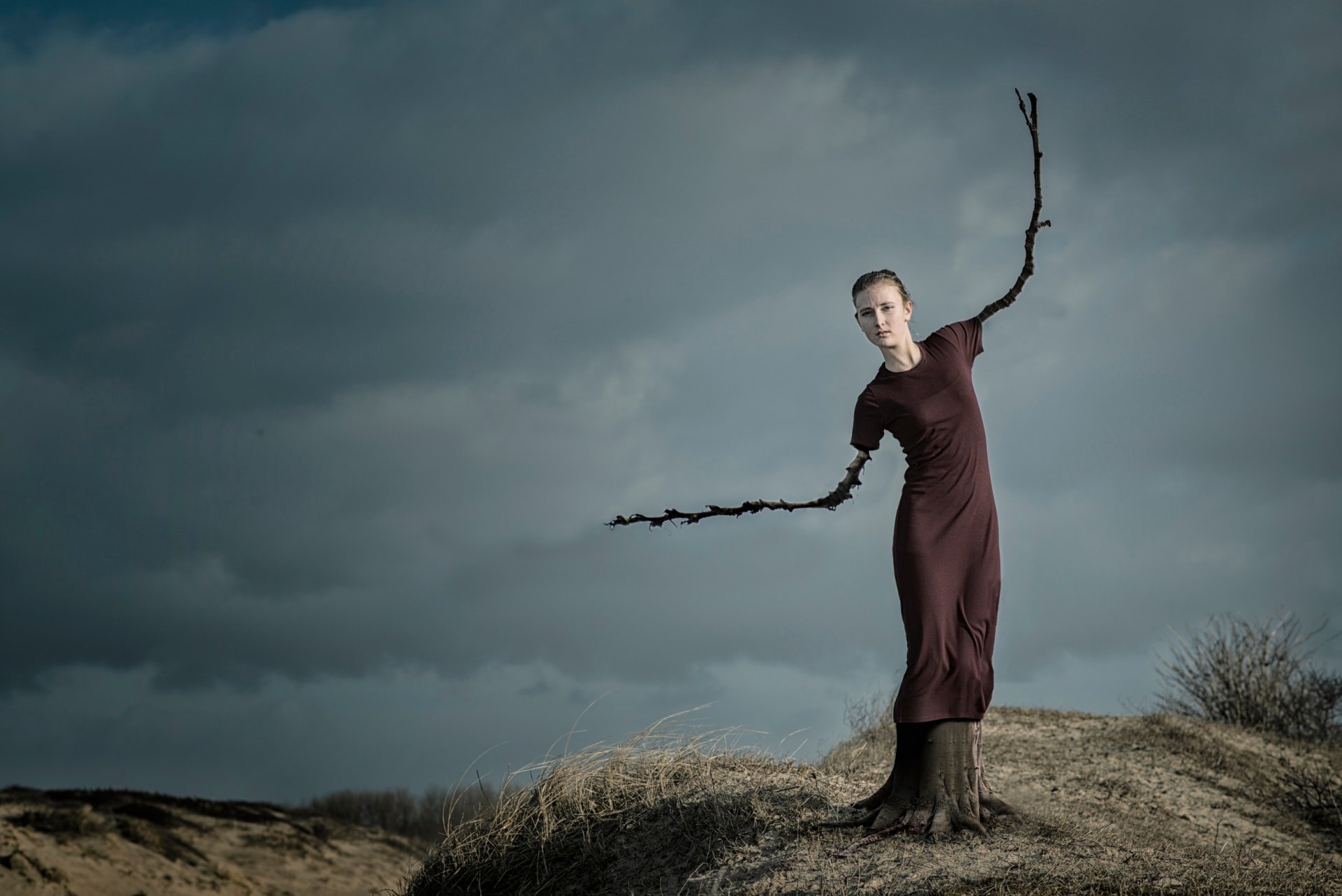 la jeune fille un arbre des branches