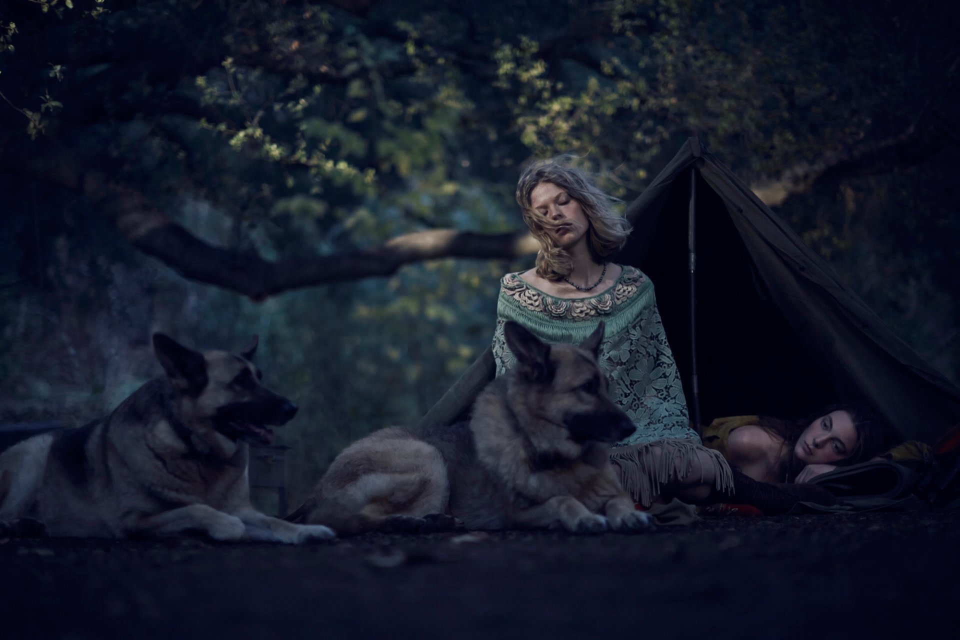 la forêt les filles la tente le chien le sauvage le jeune