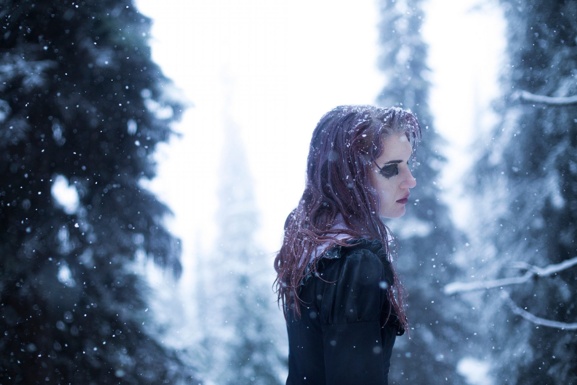 la forêt la neige la jeune fille le froid