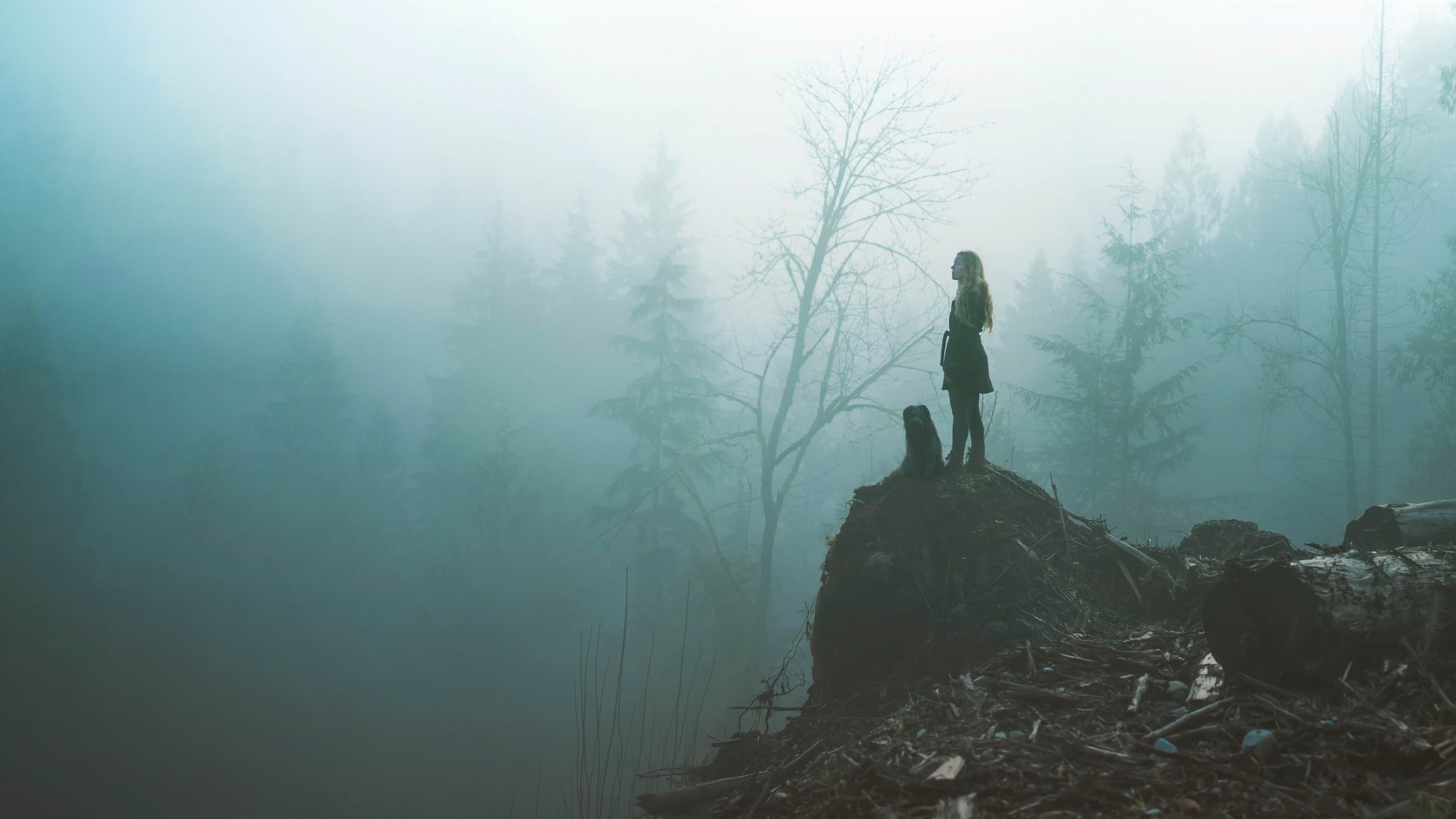 brouillard forêt chien fille