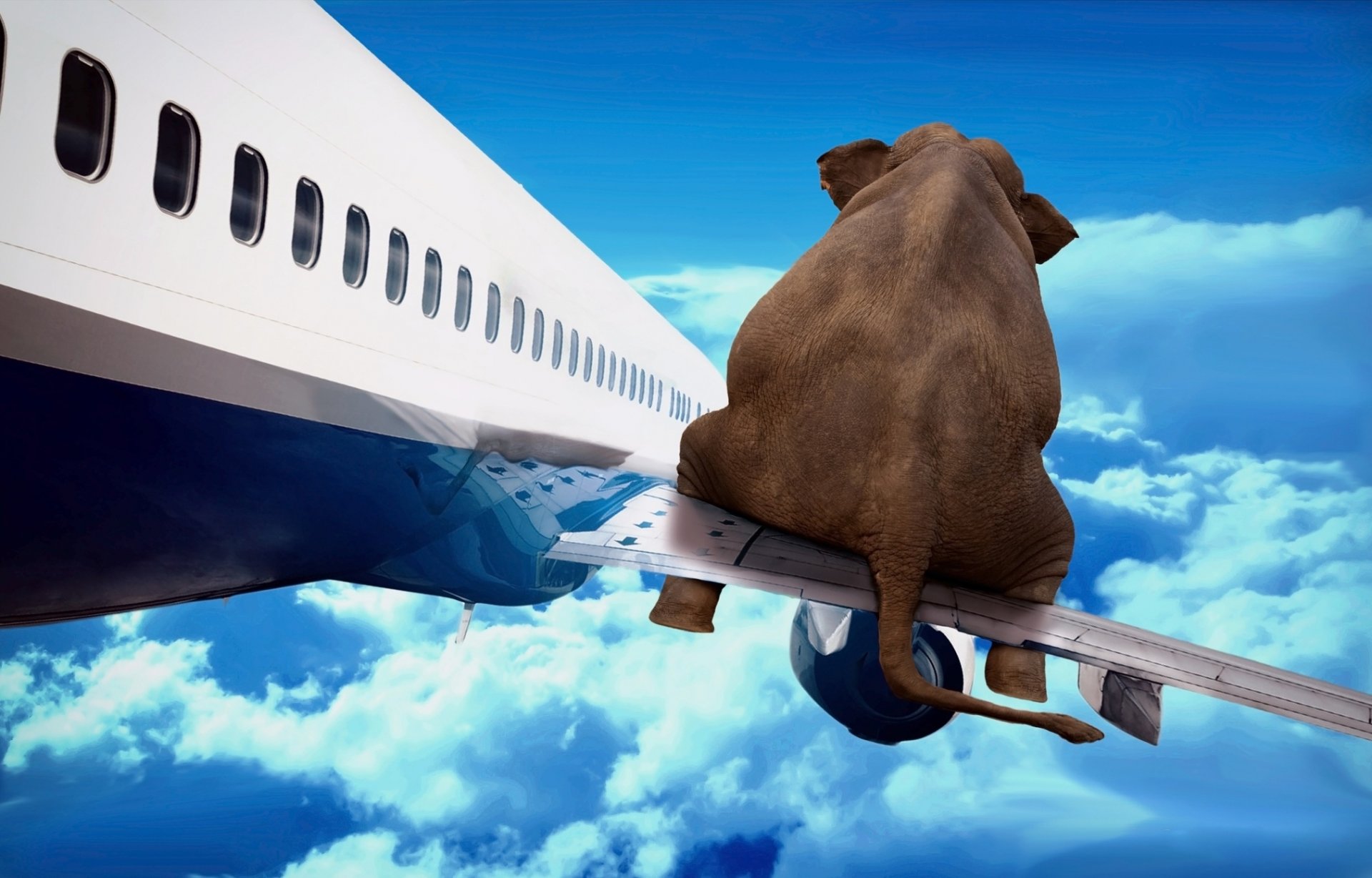 elephant plane wing flight sky art