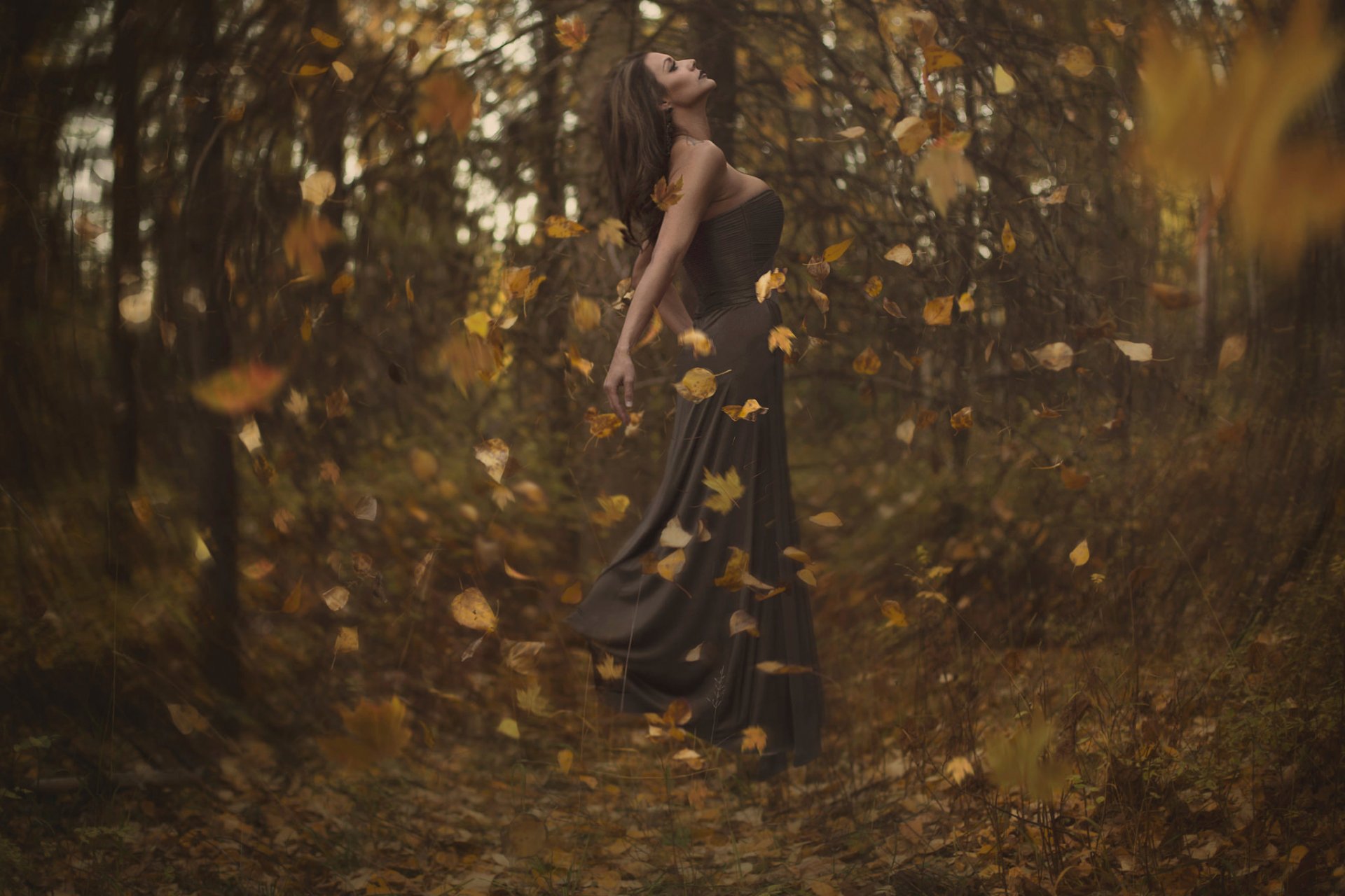 forest autumn leaves girl vortex