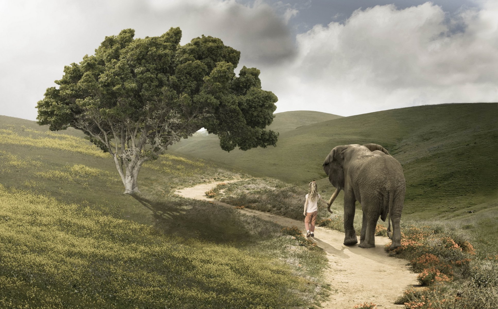 niña elefante camino