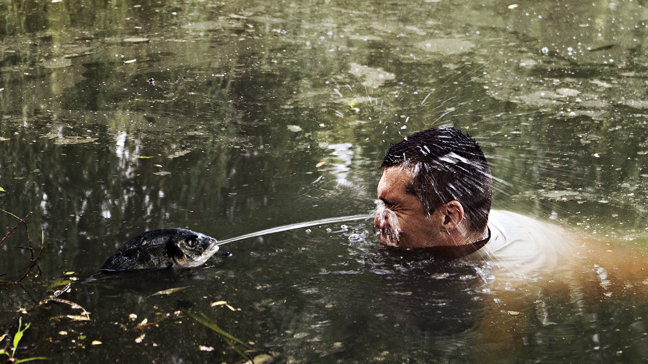 fish water pond sushi place land men place the fish sushi revenge sushi lake