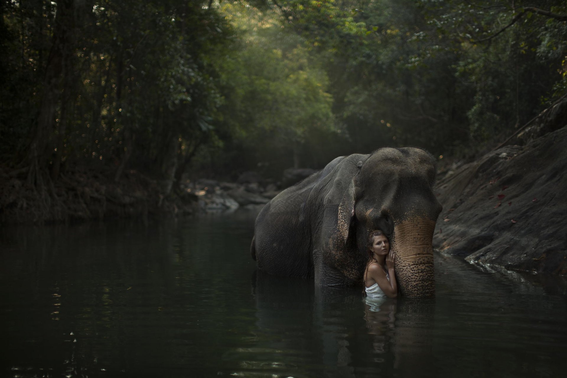 girl model river forest elephant