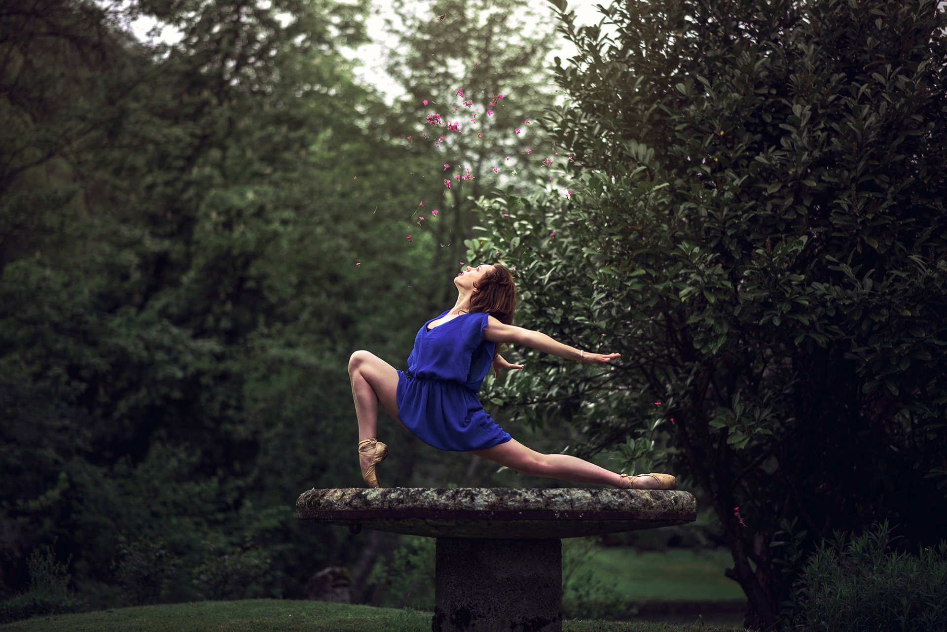 marie-lou lagrange ballerine grâce pointe fleurs dispersion