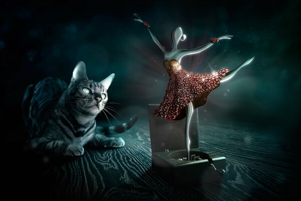 A cat s wrapping look at a ballerina s dance