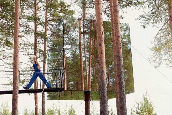 Photo shoot in the pine forest on the bridge