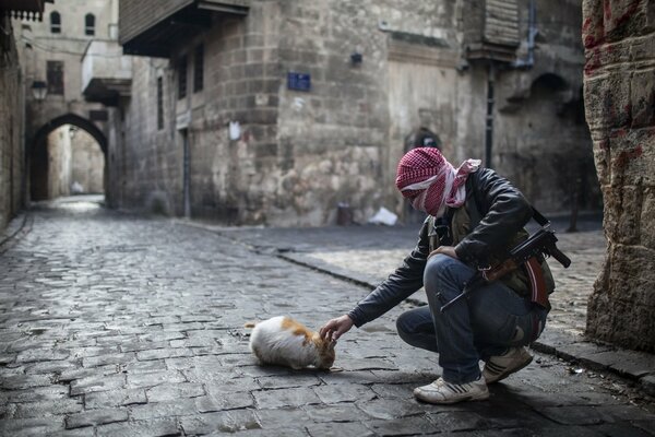 Uomo armato colpi di gatto in strada