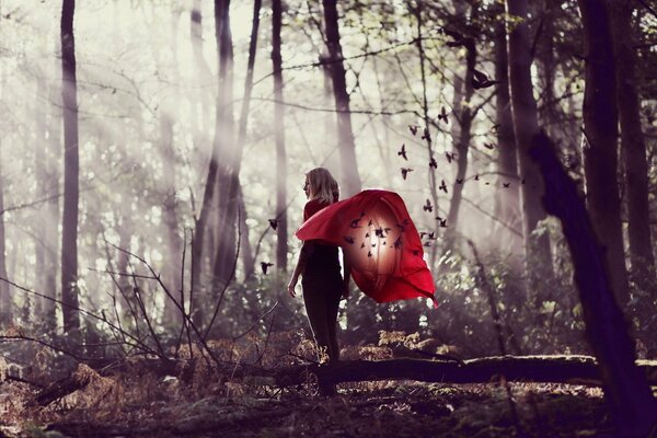 A girl with a red cloak in the autumn forest