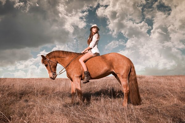 A rider on a brown horse in a field