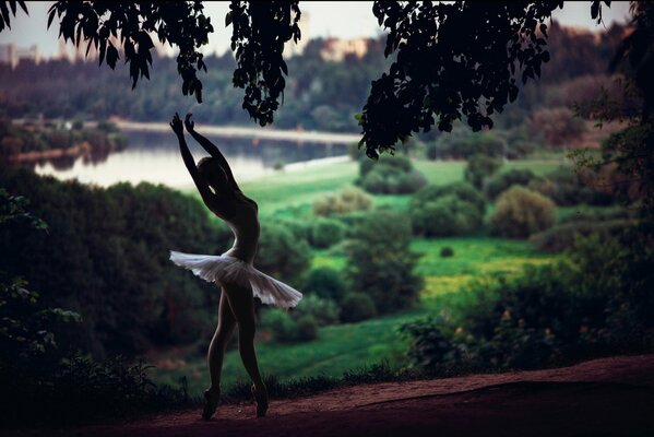 Ballerina tanzt im Wald in der Natur