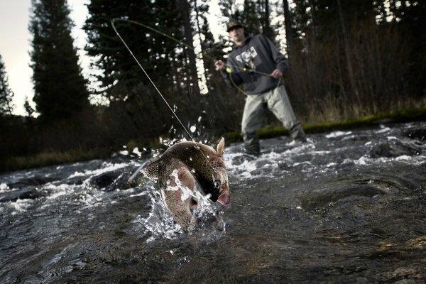 Live fishing in a dense forest