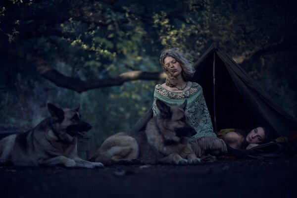 A girl in the night forest with dogs