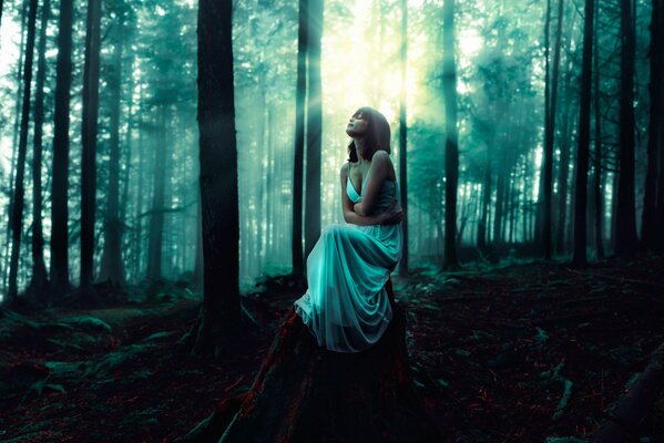 Image de la jeune fille dans la forêt sur la pierre