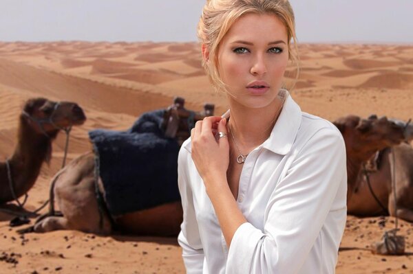 Portrait of a girl with an attractive look in the desert on a camel background