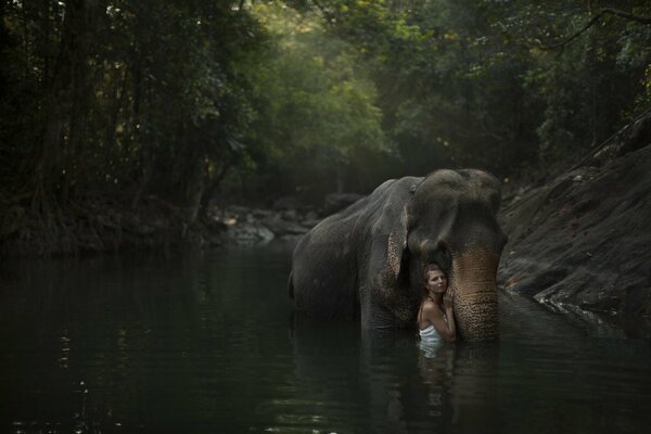 Elefant mit Mann in einem Waldfluss