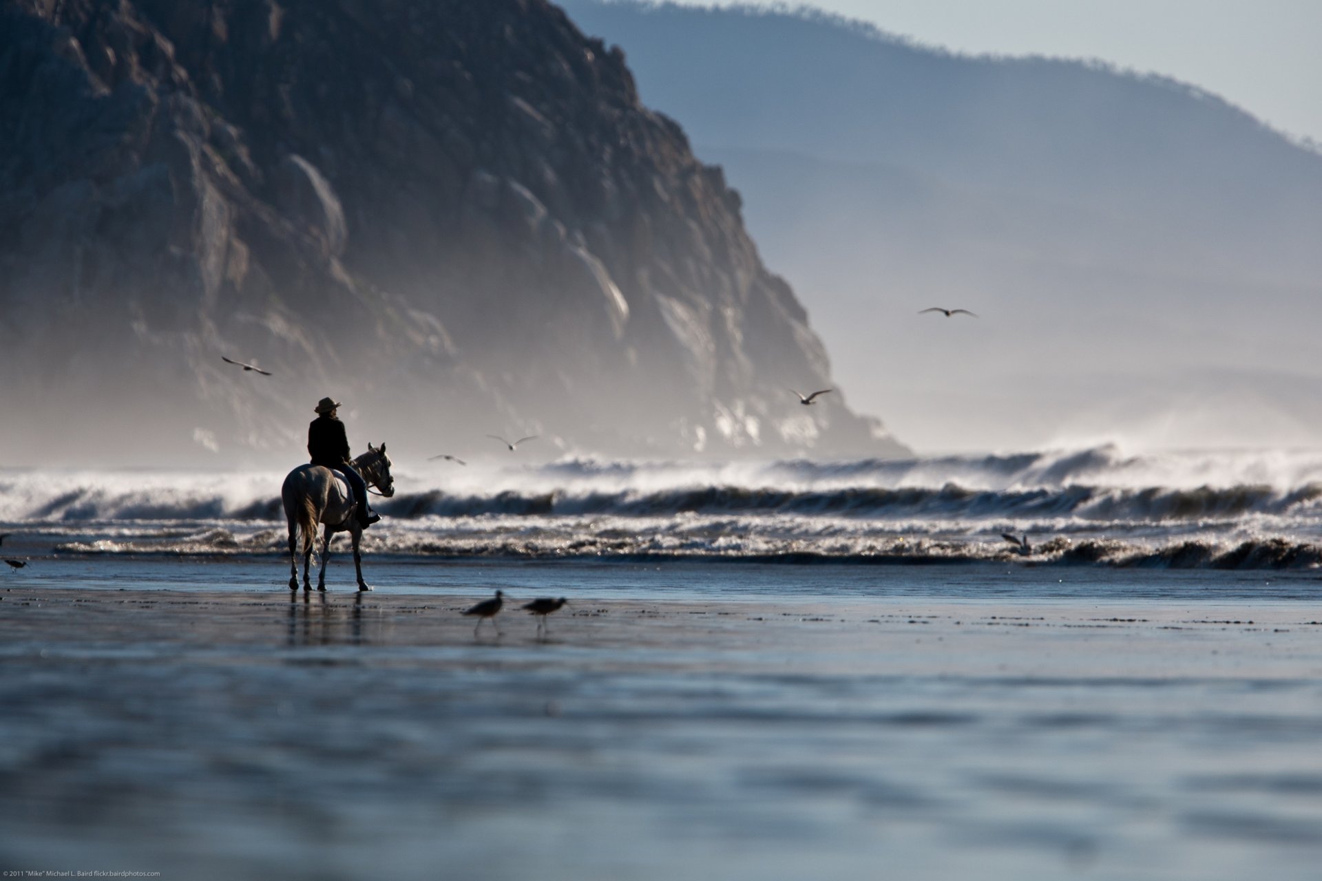 nature côte côte plage sable mer vagues montagnes roches mouettes cavalier homme cheval tilt shift auvent shift arrière-plan fond d écran