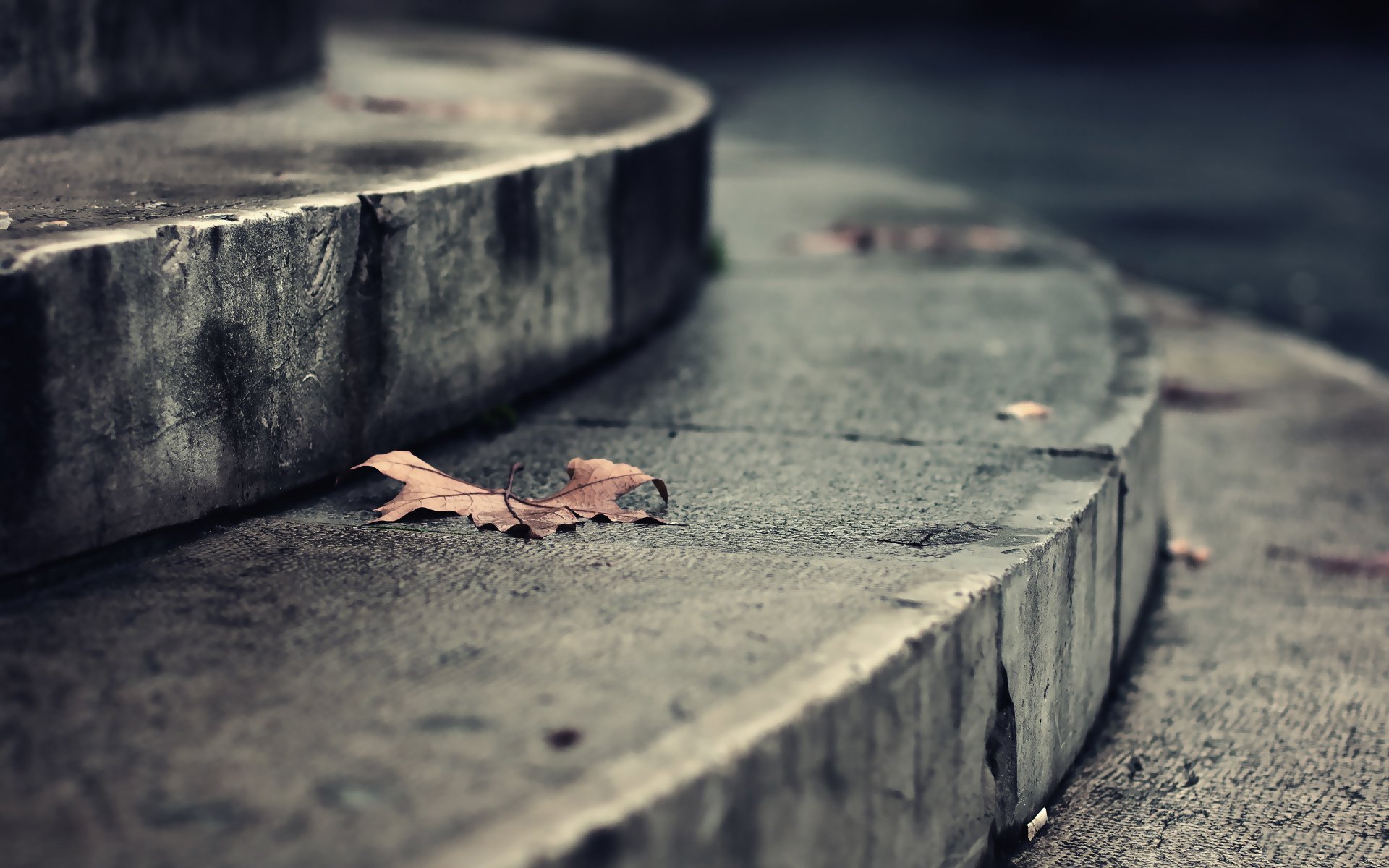 mood romance macro leaves autumn steps stairs street streets park building buildings ground floor