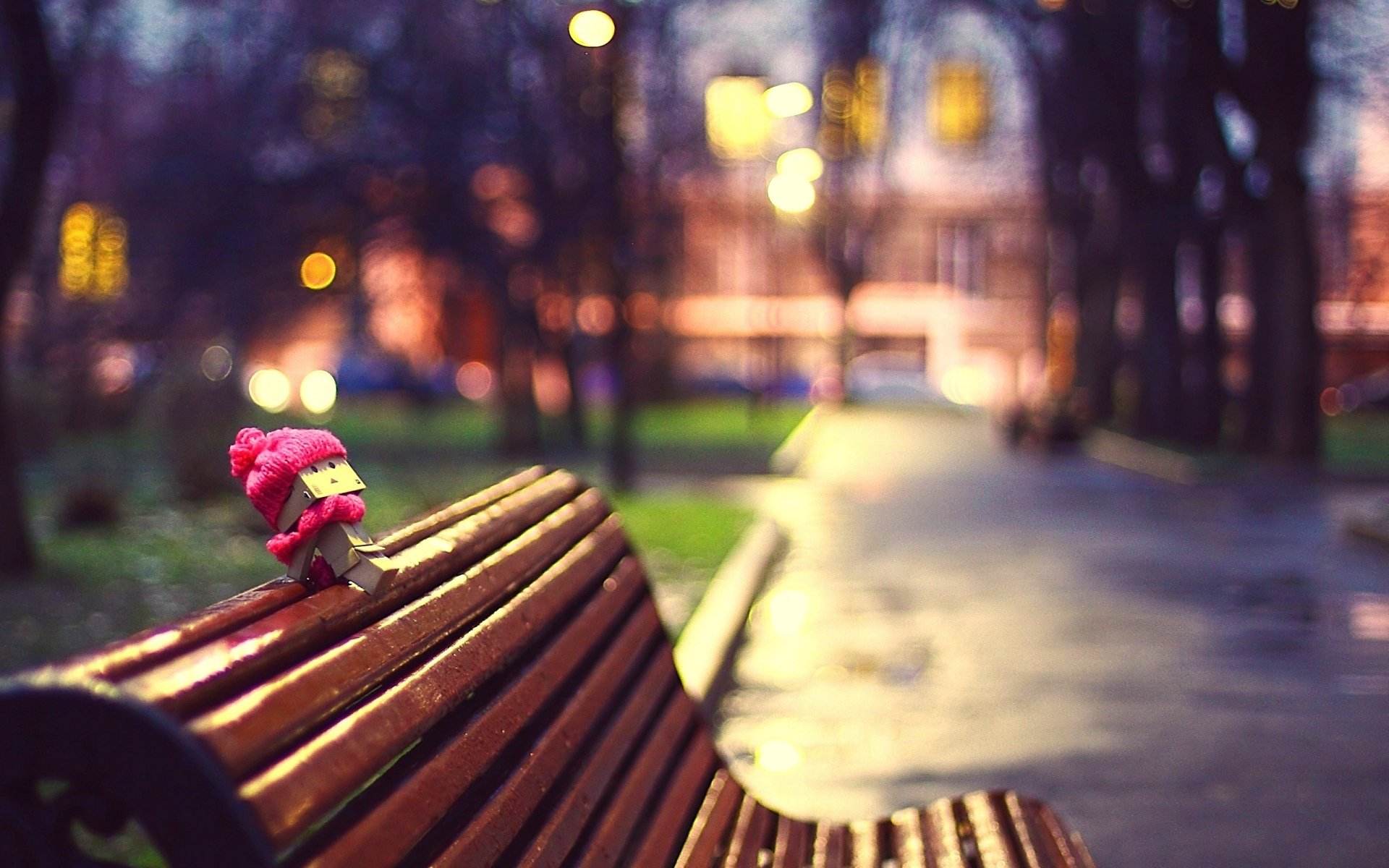 danbo box scarf hat bench shop town alley tree night photo focu