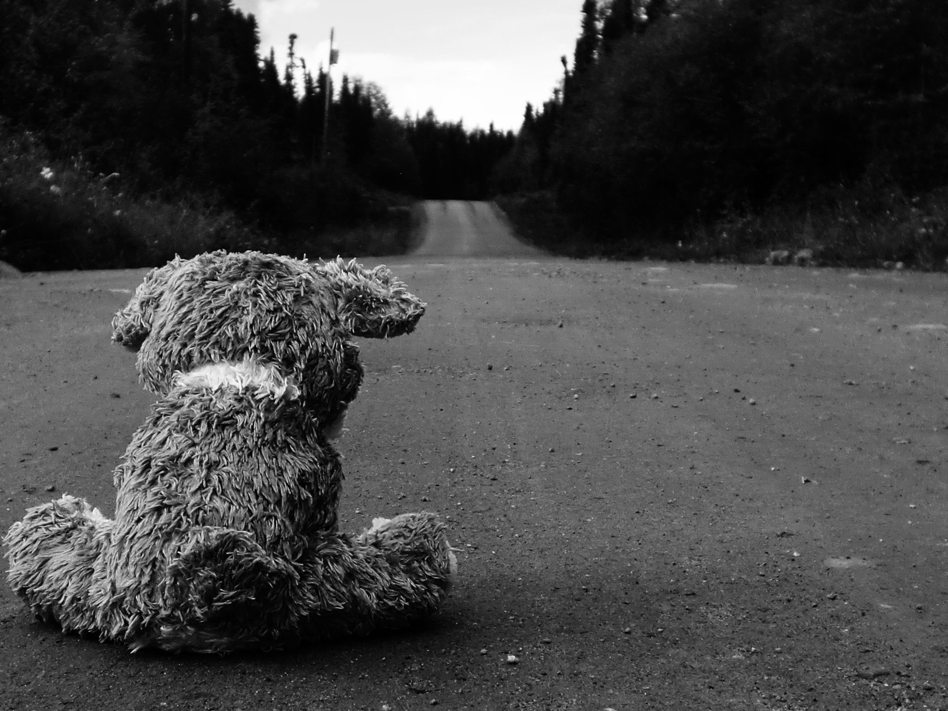 road asphalt teddy bear miscellaneous wallpaper images image