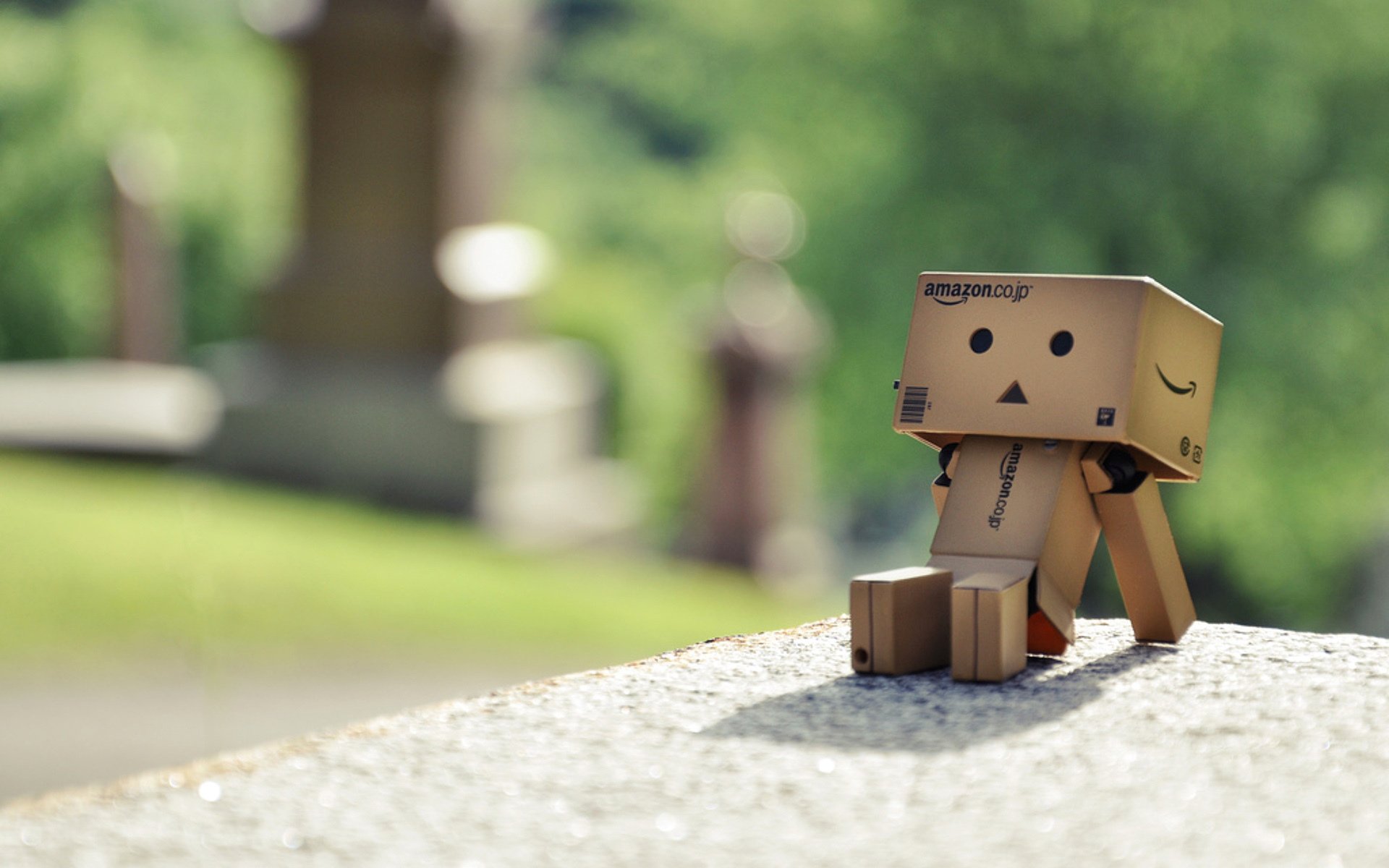 danbo caja cartón