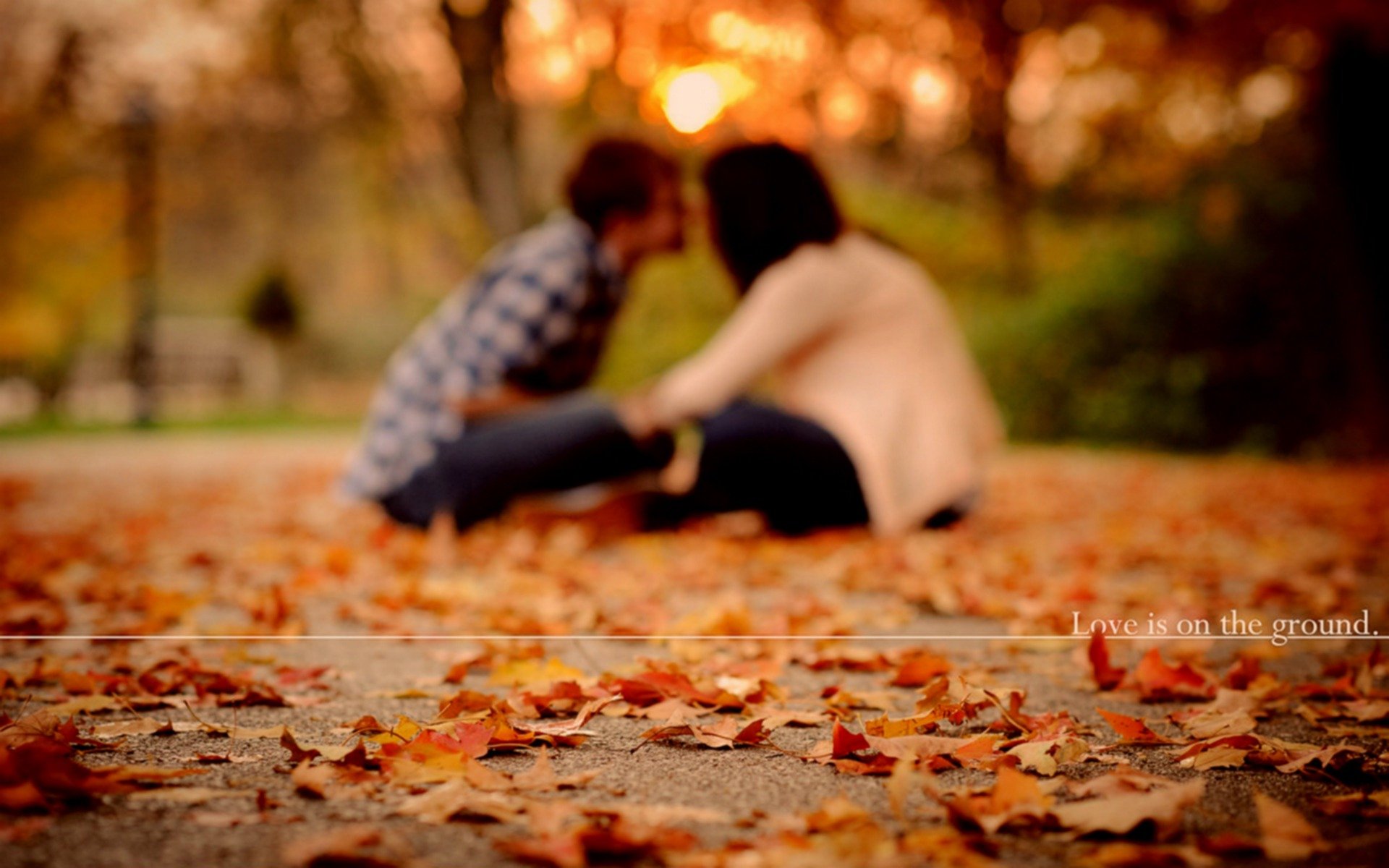 humeurs humeur amour couple couples couple garçon et fille filles garçons automne chute des feuilles feuillage feuilles parcs