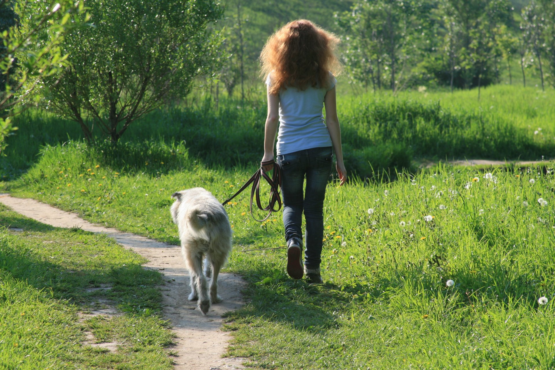 mood walk girl dog friends go up smile