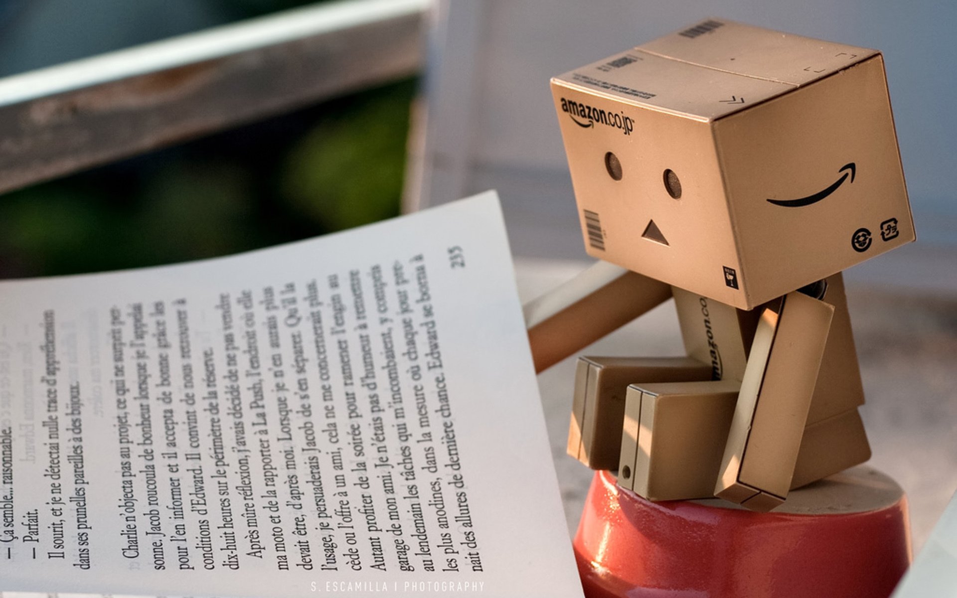 danbo pudełko książka