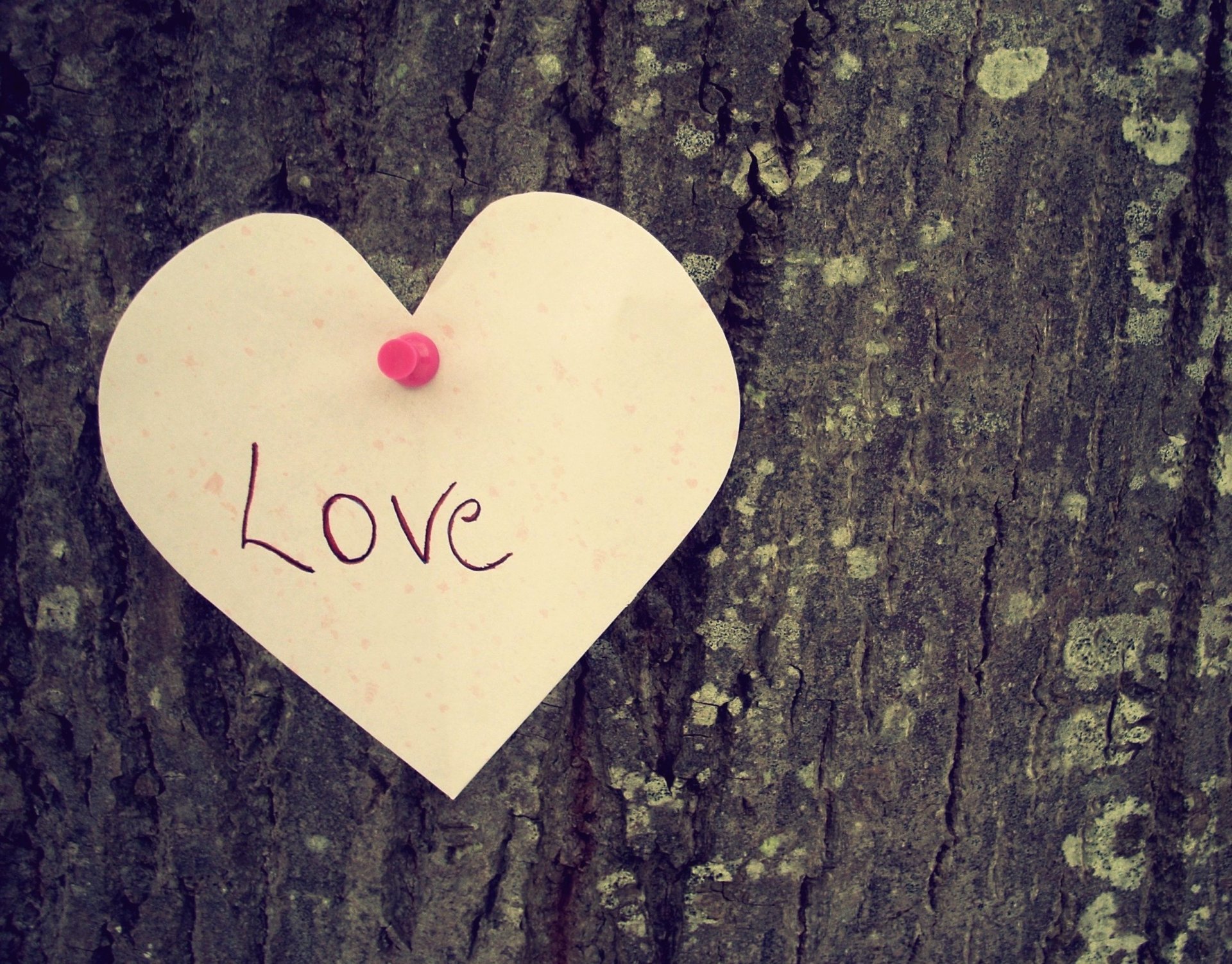 amour coeur coeur.sentiment arbre inscription humeur