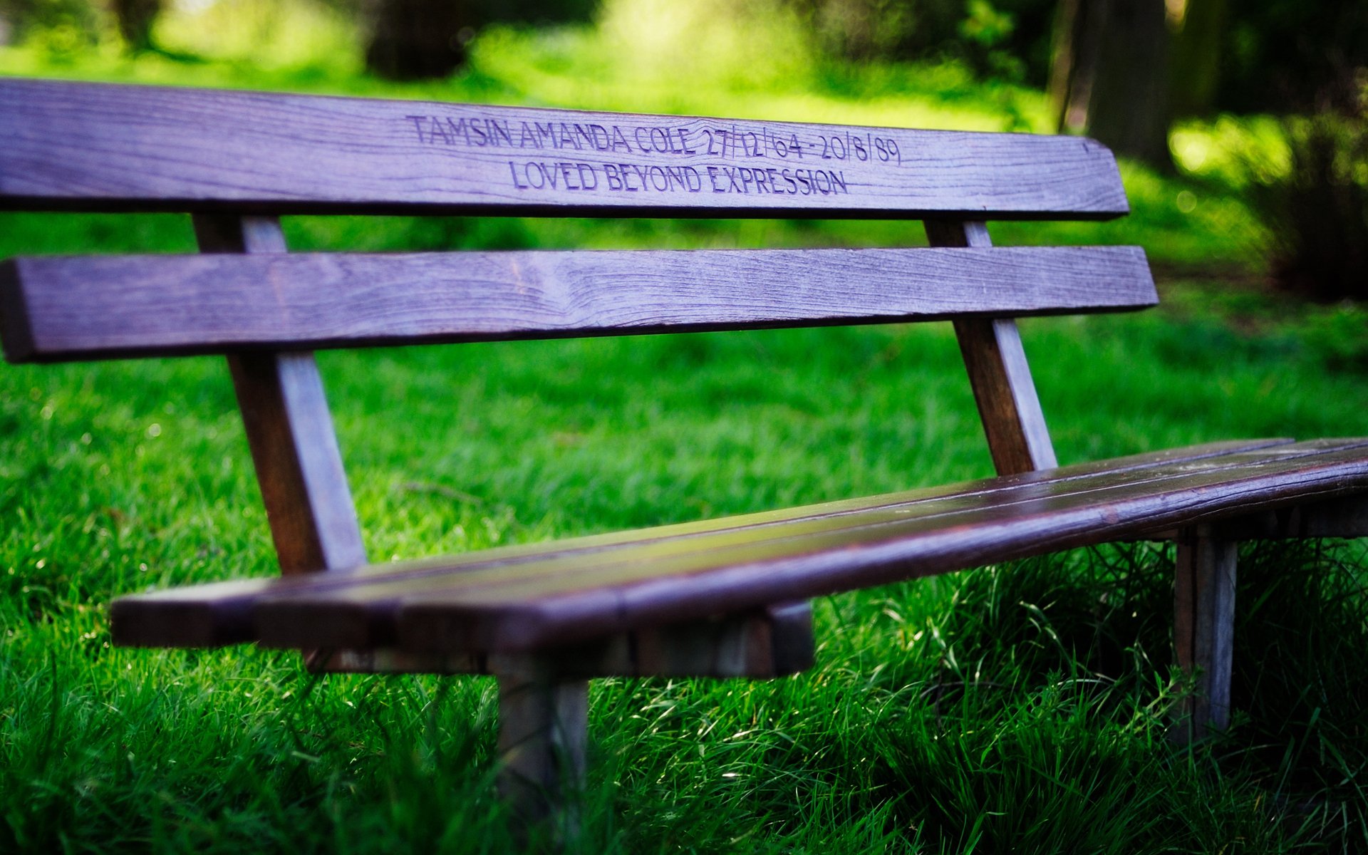 mood bench bench benches bench bench bench bench grass greenery