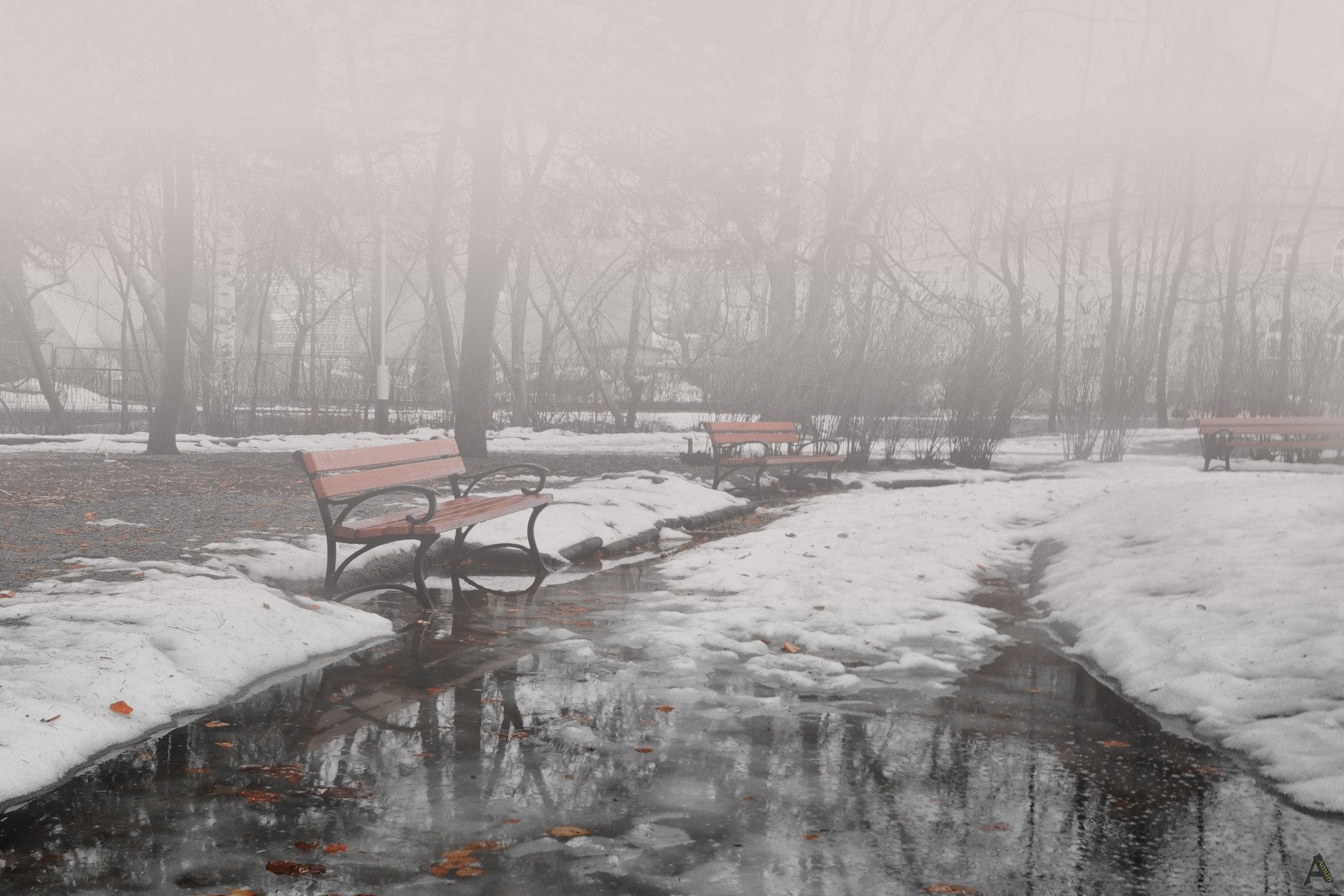 park winter benches fog