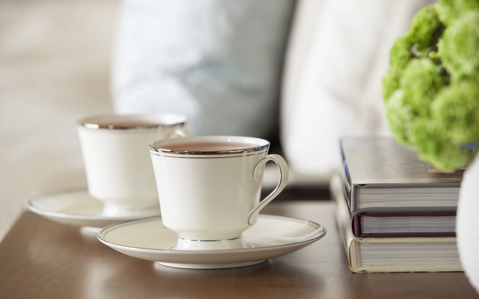 cibo tè caffè tazza tazza libri libri di testo verde piatto sfondo bianco