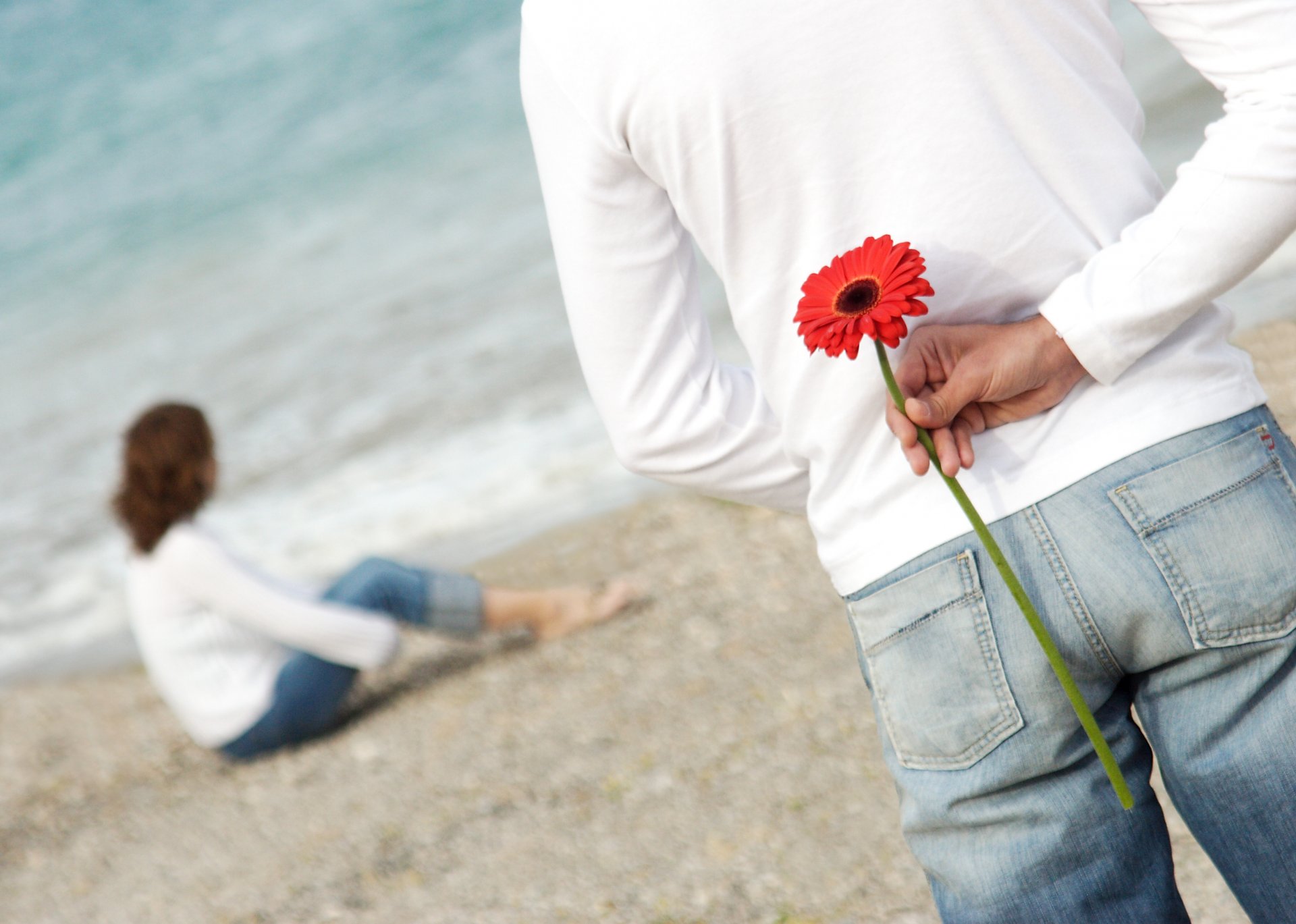 pareja playa flor romance amor