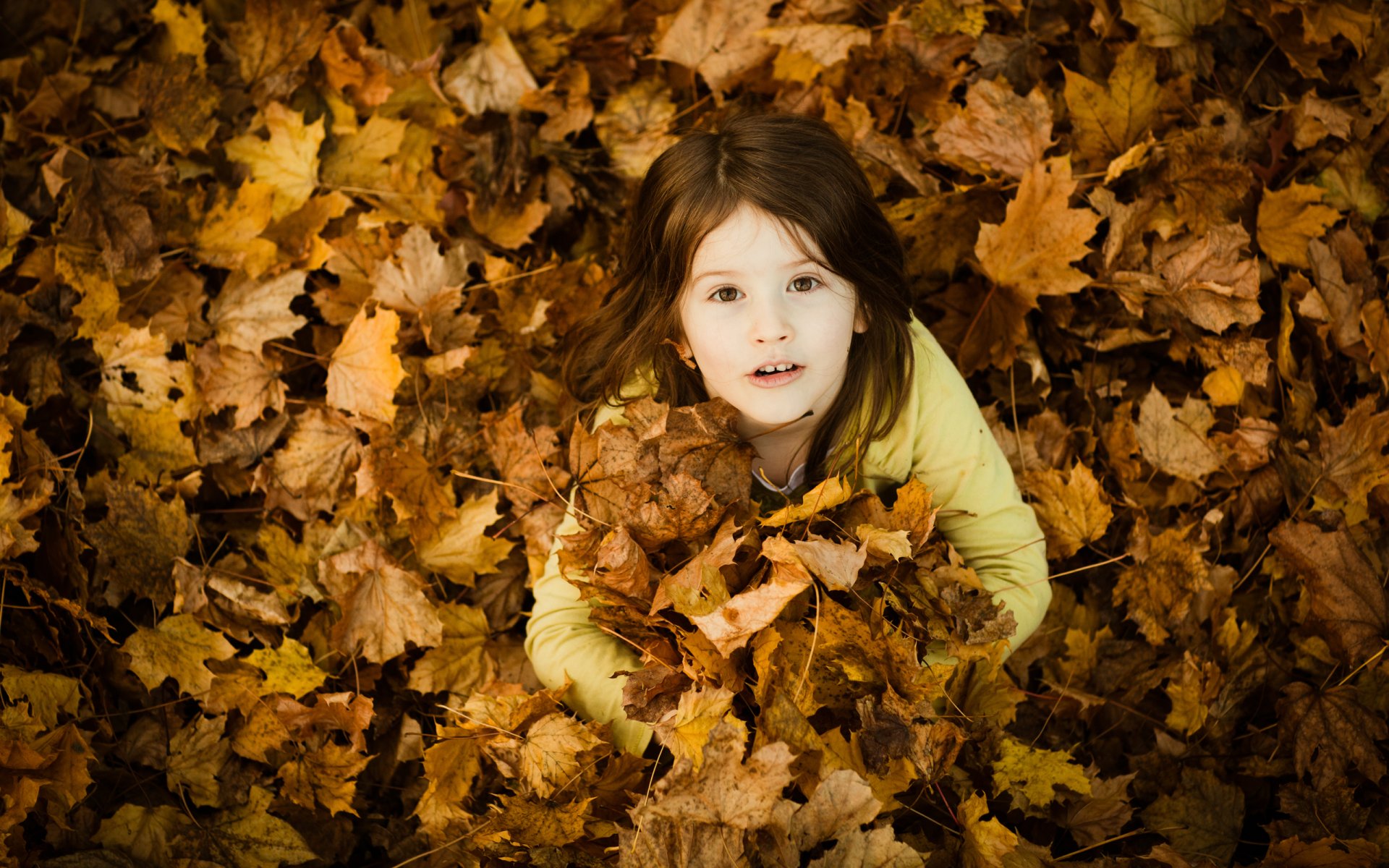 enfants fille filles enfants humeur humeur aurelia photo automne feuilles sourire sourires feuillage beauté beauté beauté beauté beauté beautés