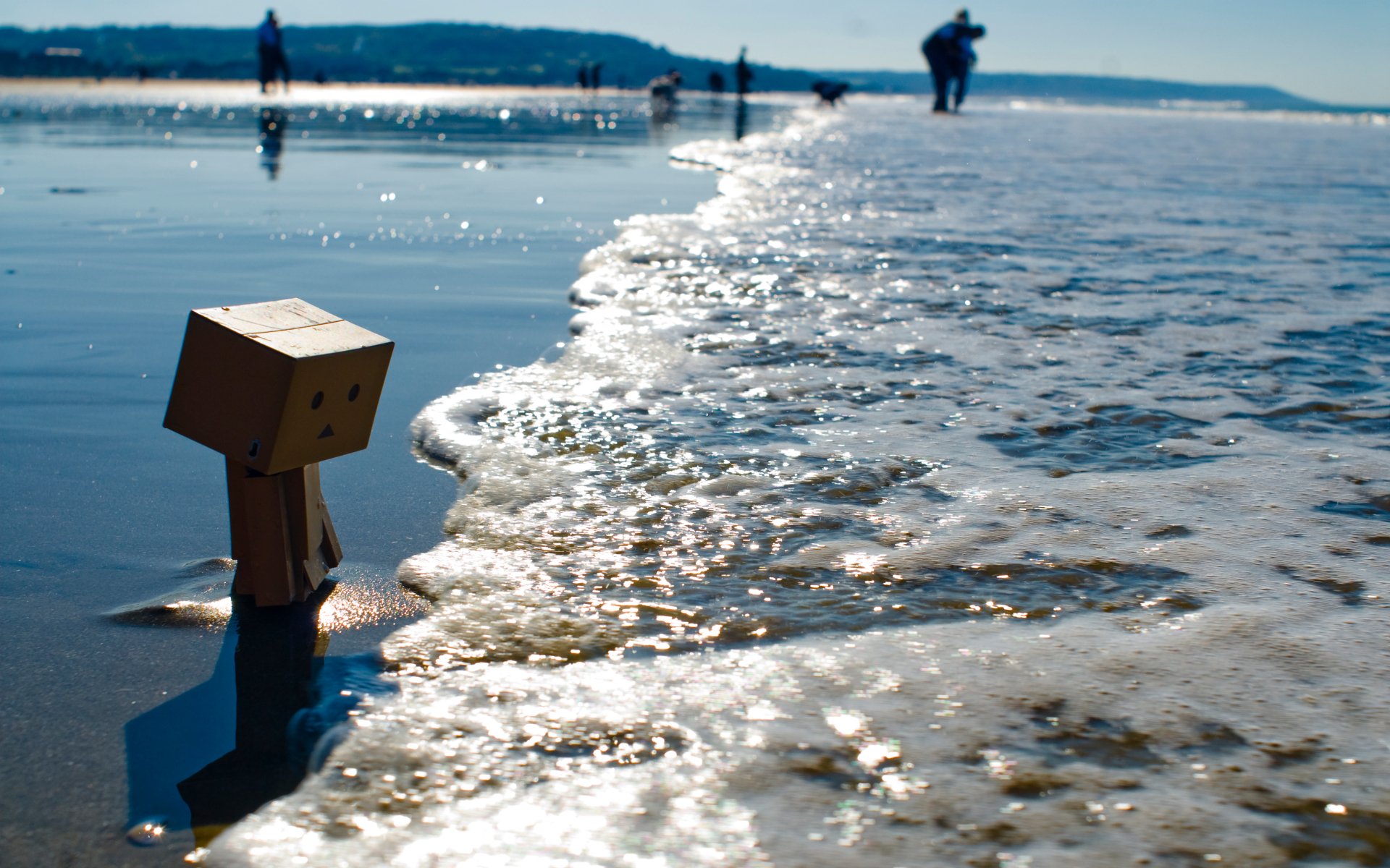 danbo box shore beach tide