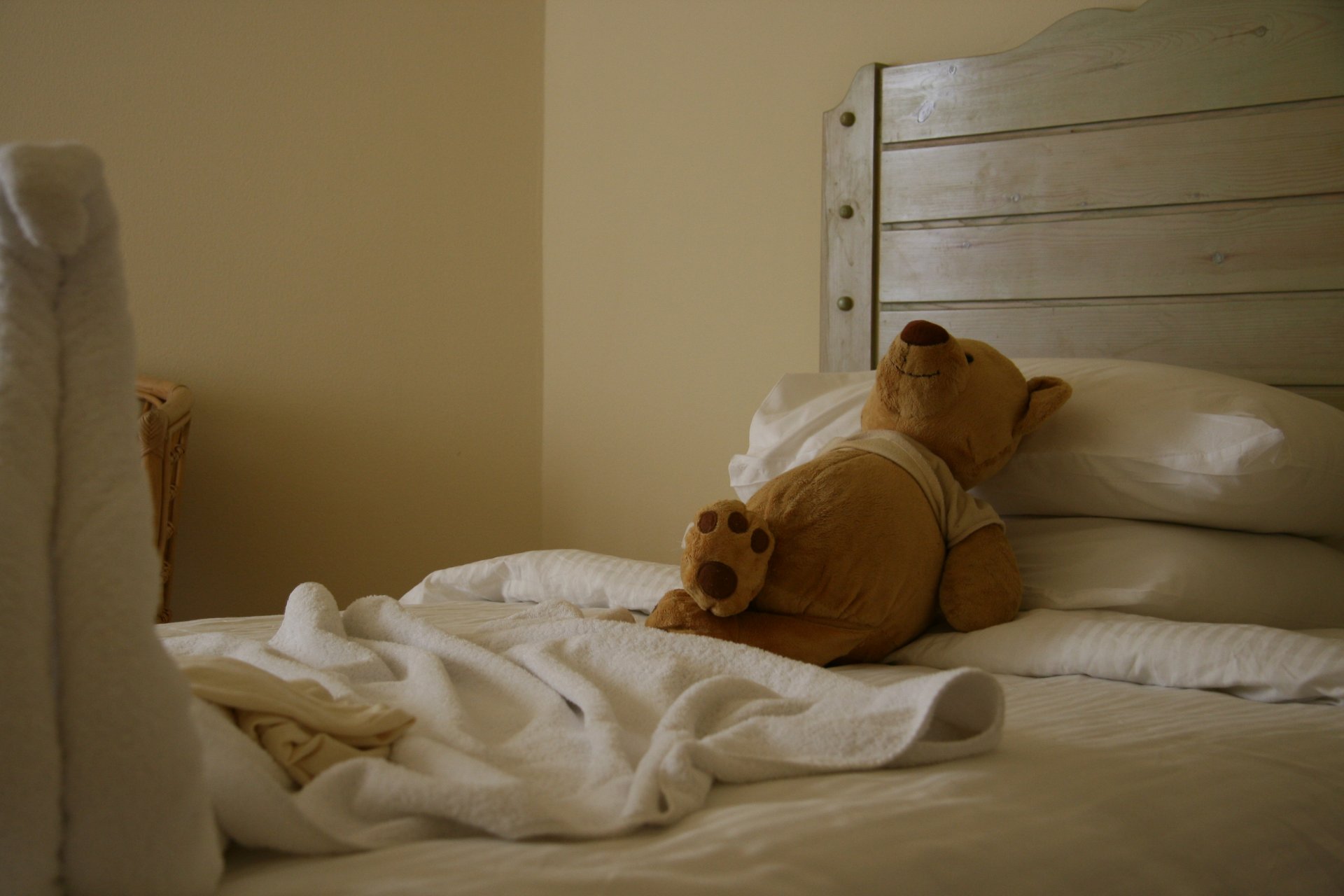 umore relax orso giocattolo hotel letto sonno gioia