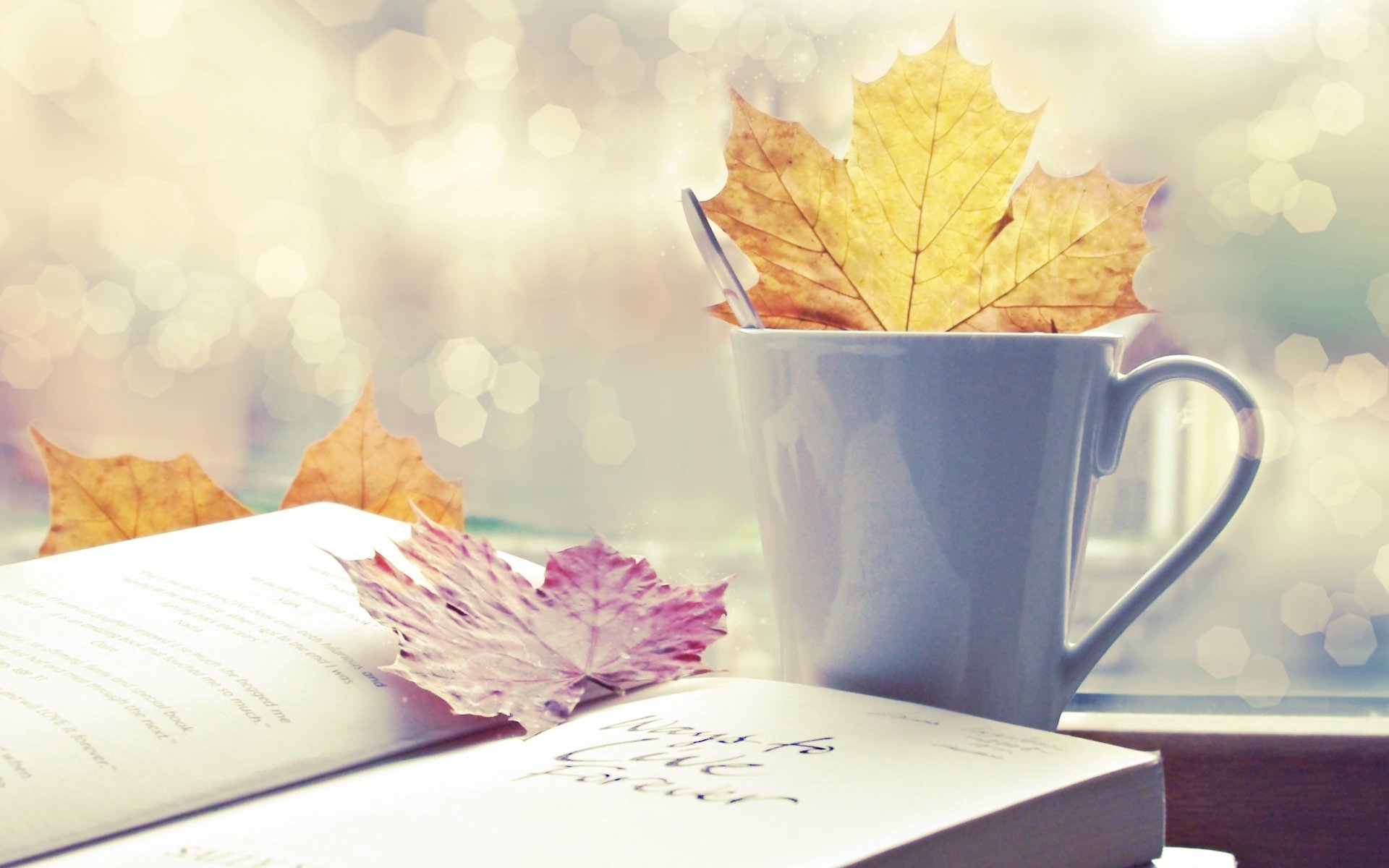 autumn leaves cup book bokeh