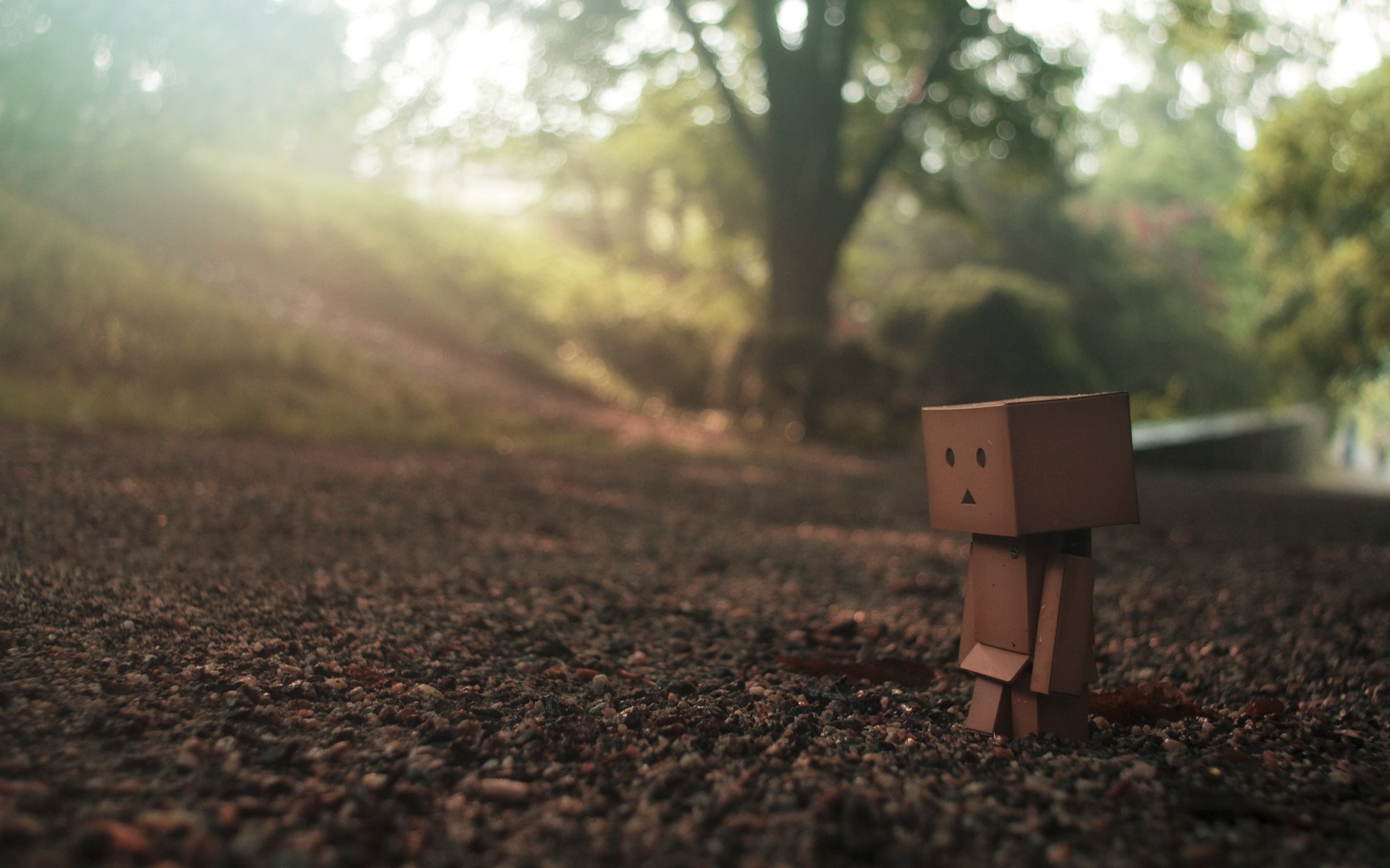 danbo terra strada vista tristezza uno macro